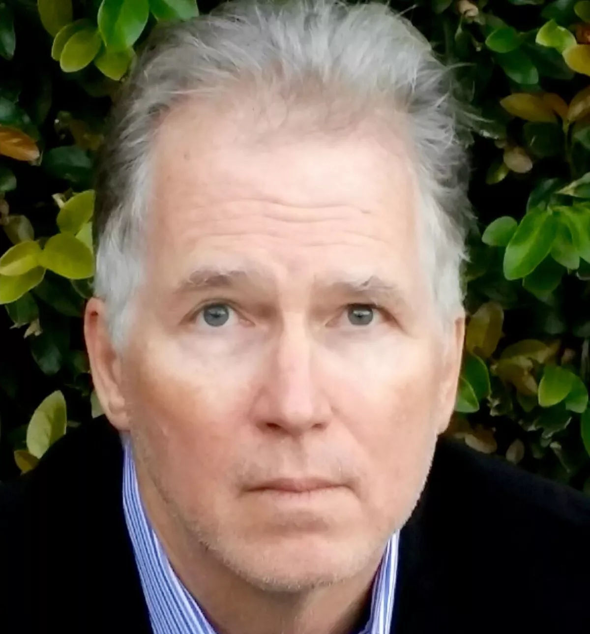 Wallpaper #2CyqSZMB0E1QgA7w2fMq144 18 Facts About Steve Sailer Factsnippet