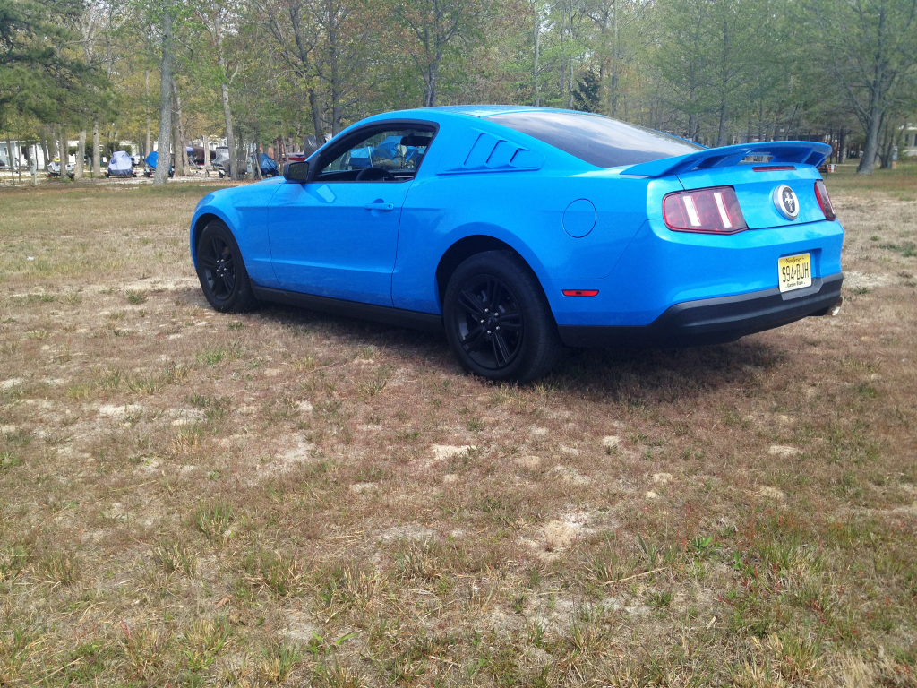 Wallpaper #9ho2UJMB1yWOL4qgrn_E259 Role Call Any and All Grabber Blue Mustangs Mustang Evolution