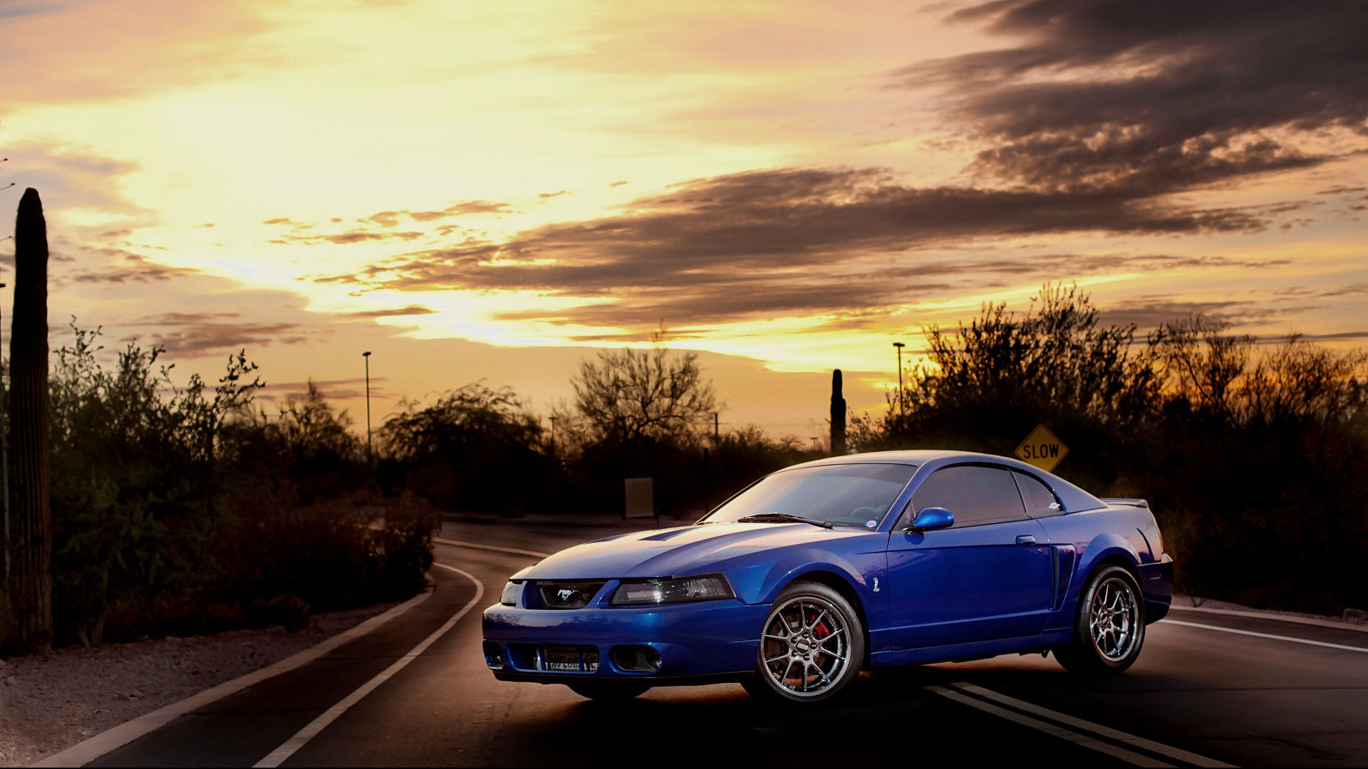 Wallpaper #3nOFiI4BFI5NbQks1SEX38 2000 Ford Mustang GT Wallpapers Mustangspecscom