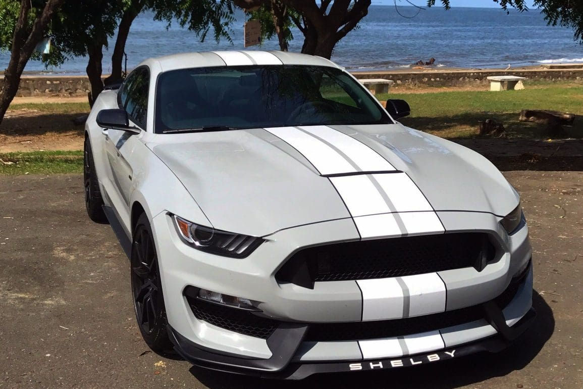 Wallpaper #-XMxhI4BFI5NbQks2hxF43 Gray Mustang Colors the Ultimate Guide