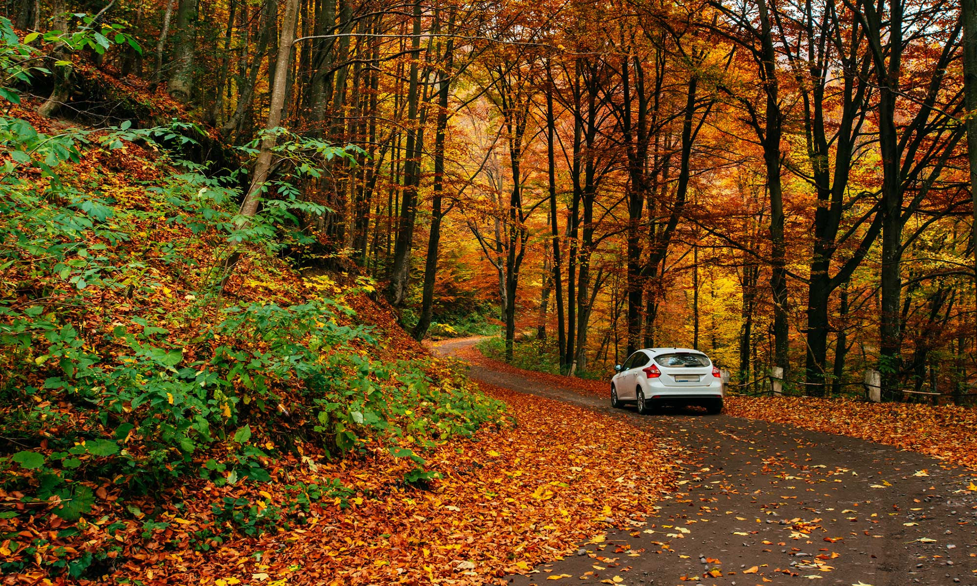 Wallpaper #rWgUHJMBSpphPi3-8SFd153 Top 5 Fall Car Maintenance Tips Endurance Warranty
