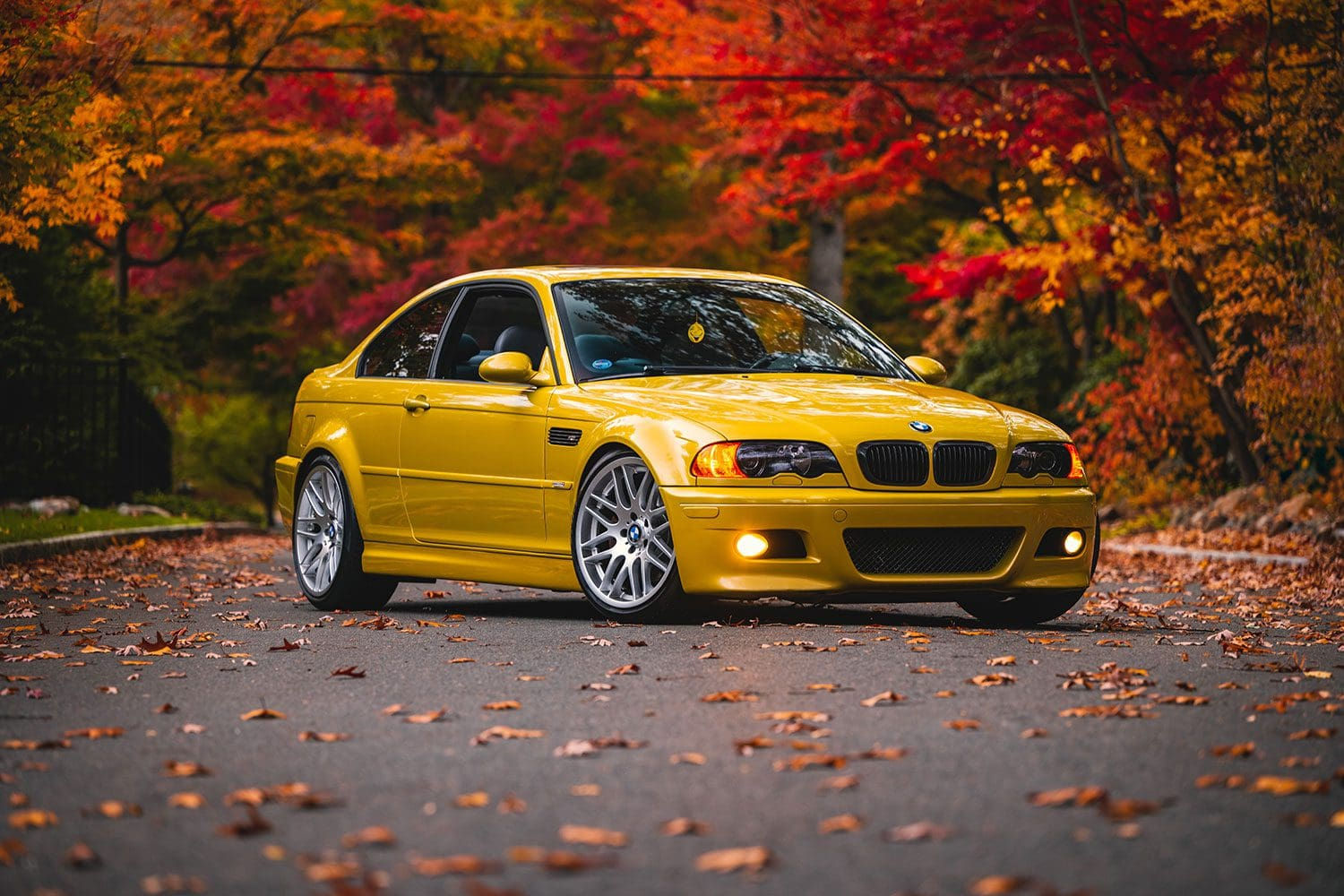 Wallpaper #D2d265IBSpphPi3-DEz1115 Neighborhood Terror is the E46 the Best M3 Machines with Souls
