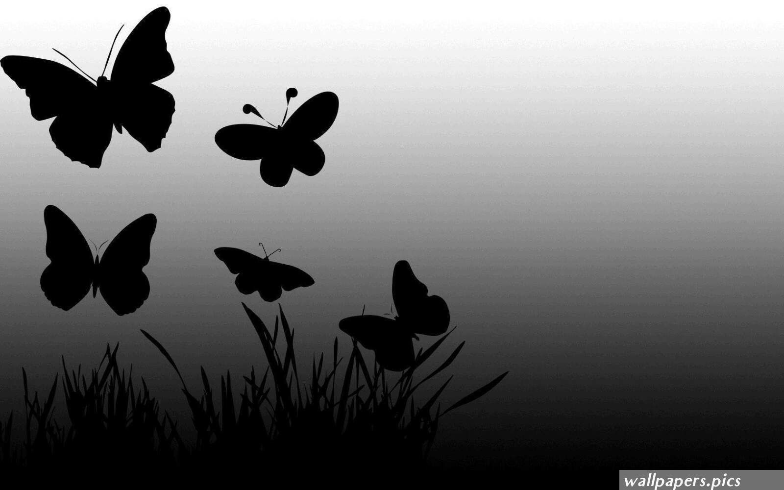 Wallpaper #80c83 Sunday Service Copyright License 474927 Rehearsal License Crl108190