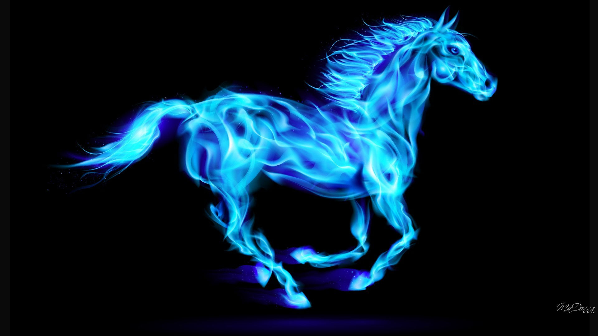 Wallpaper #9h2ULJMBlOZrFDOkbsoH31 Cool Horse Wallpapers Group 75