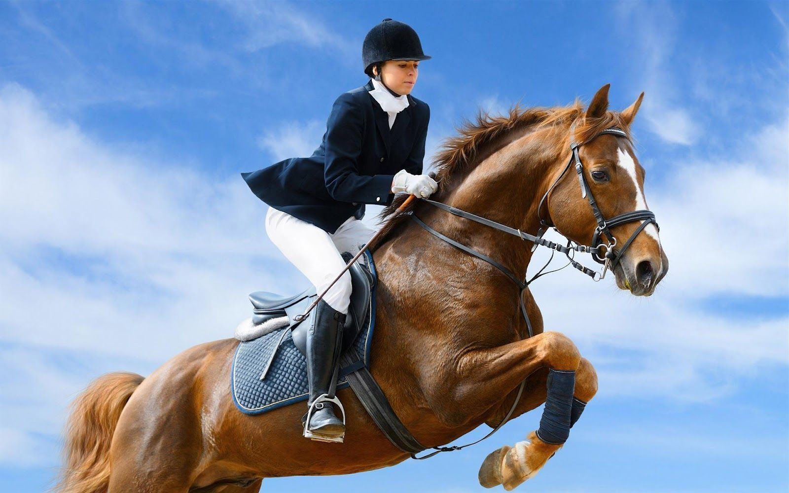 Wallpaper #Gx2aLJMBlOZrFDOk68sw247 Jockey and Jumping Horse Wallpaper HD Animals Backgrounds