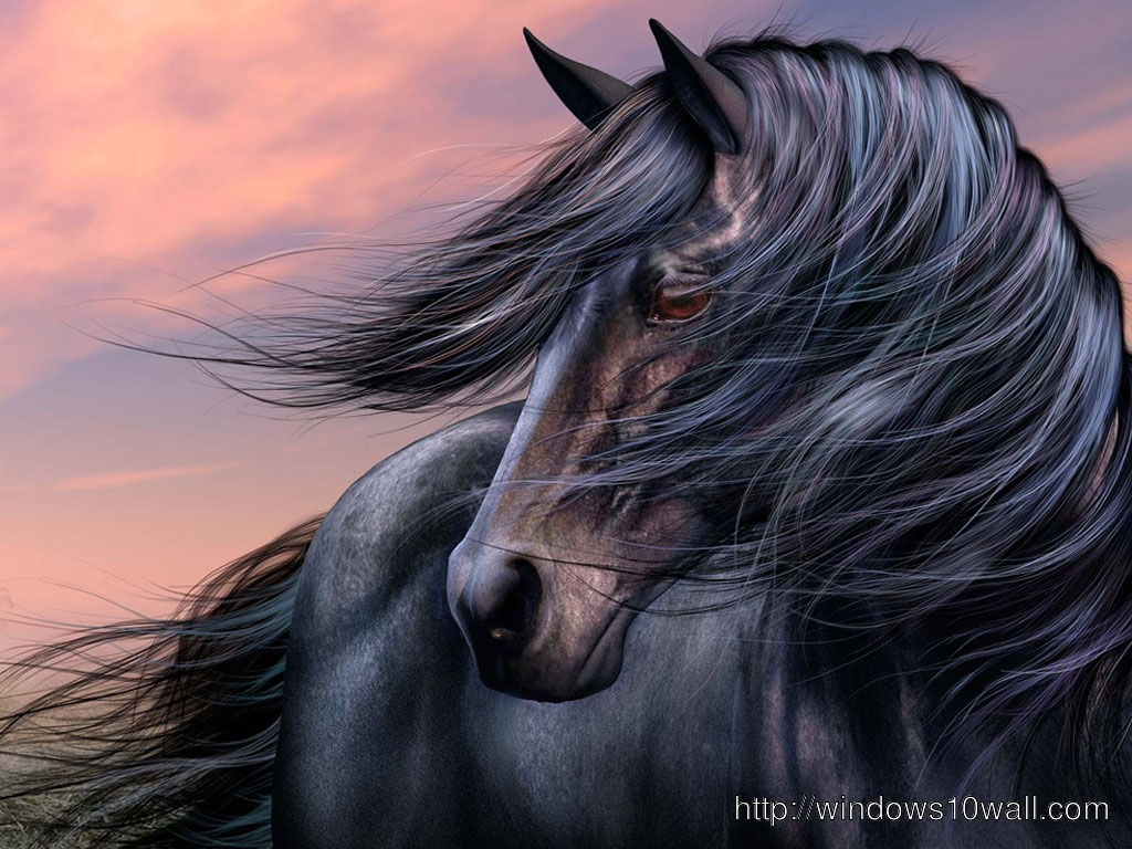 Wallpaper #bWfaEpMBSpphPi3-4_0h101 Black Horse Wallpapers 4K HD Black Horse Backgrounds on Wallpaperbat