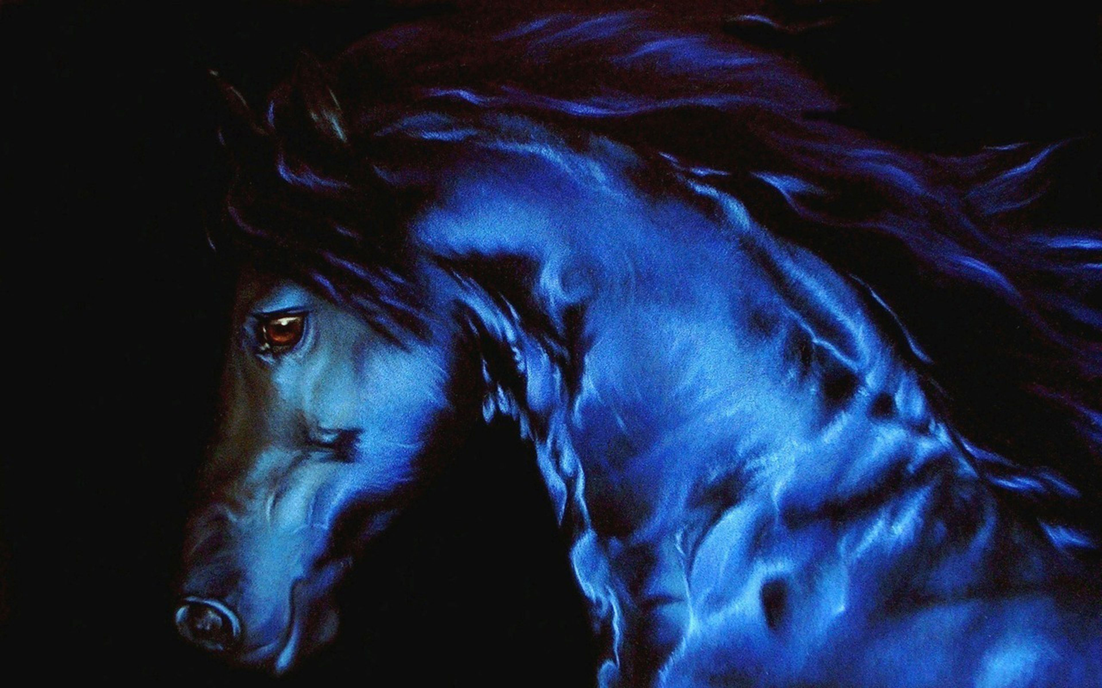 Wallpaper #bWfaEpMBSpphPi3-4_0h108 Black Horse Wallpapers 4K HD Black Horse Backgrounds on Wallpaperbat