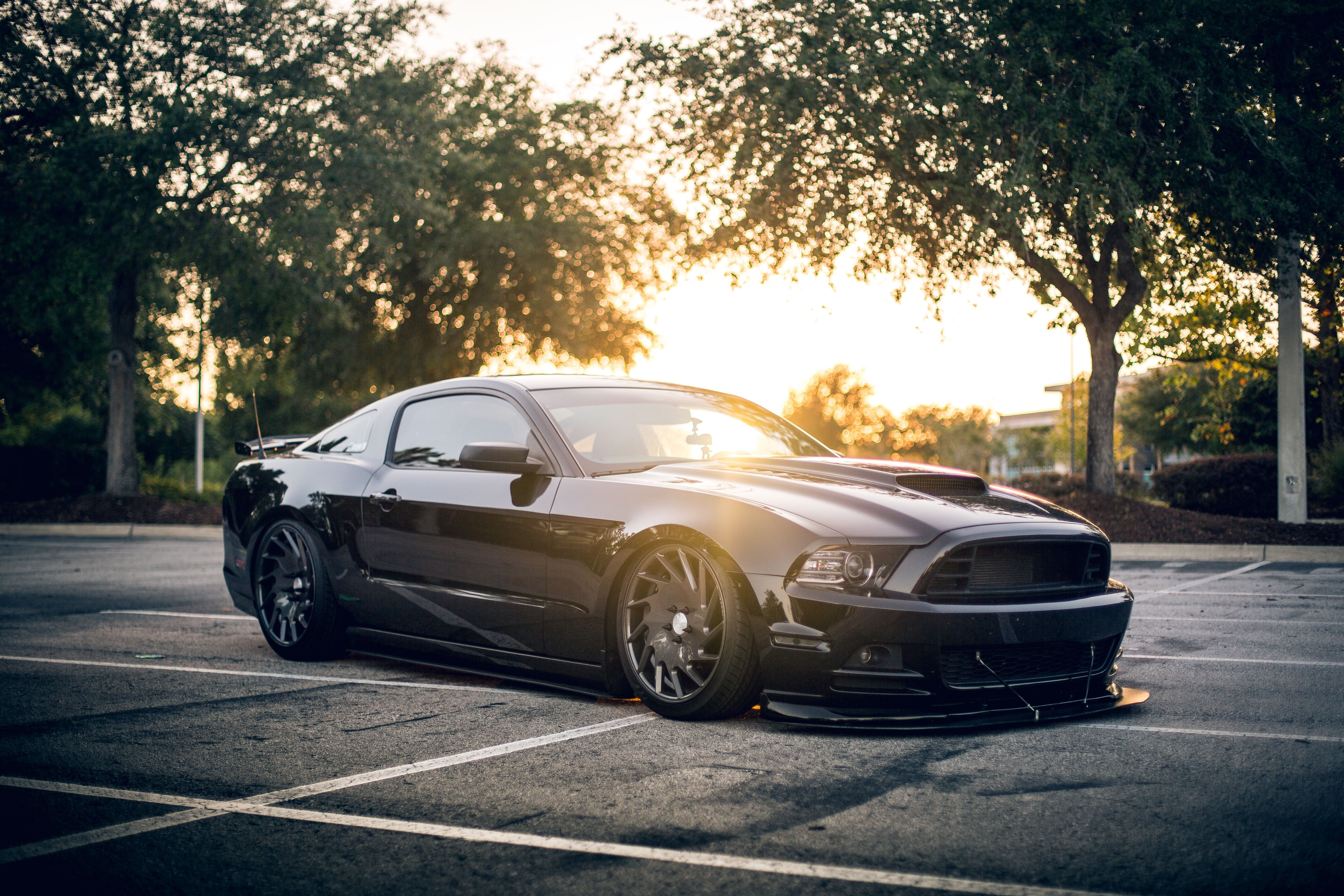 Wallpaper #tHPvhY4BFI5NbQks8R7Q51 4K Desktop Mustang Wallpapers Wallpaper Cave