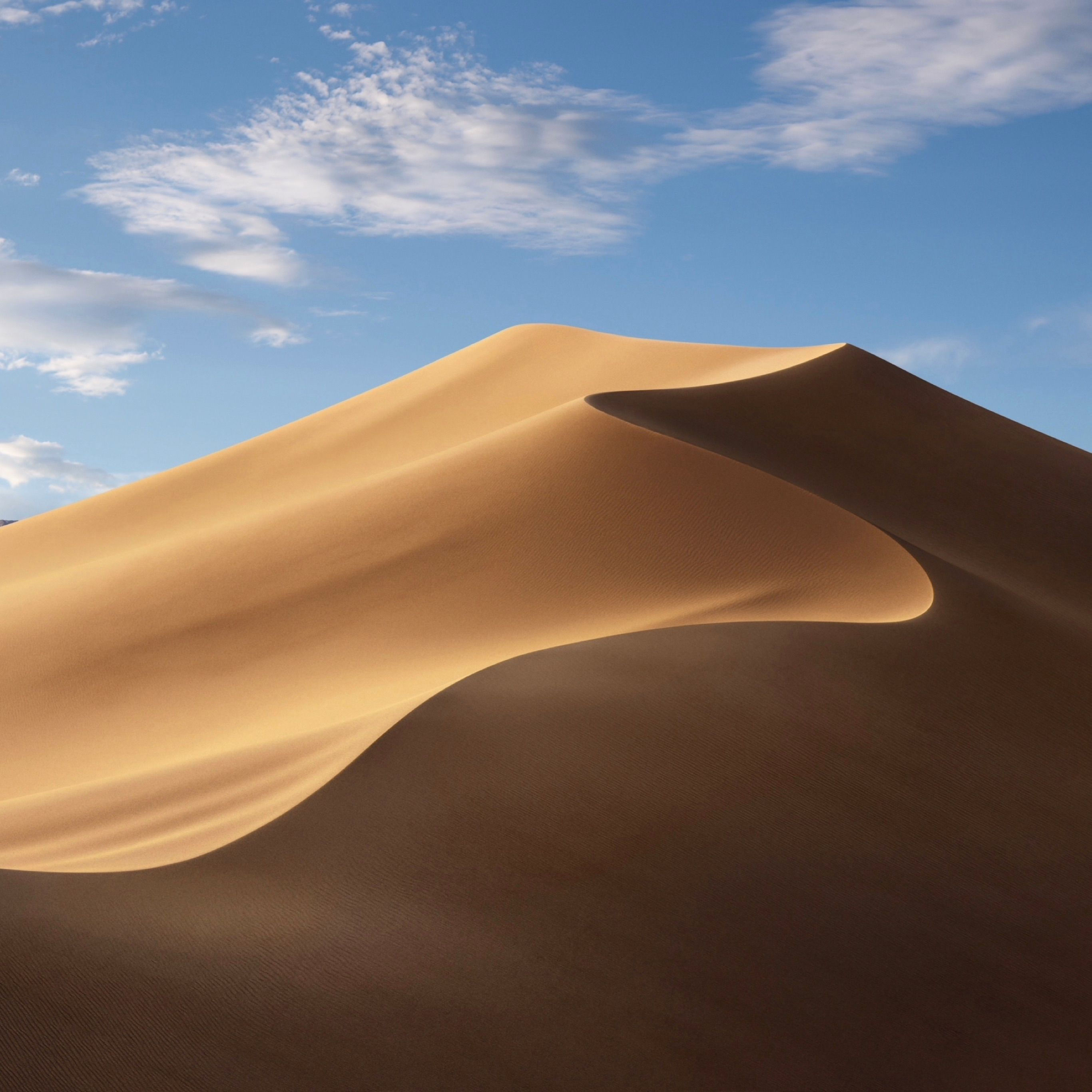 Wallpaper #MKUcN5MBVBiSkHCaX4ta13 Mac Os X Mojave Wallpapers 4K HD Mac Os X Mojave Backgrounds on