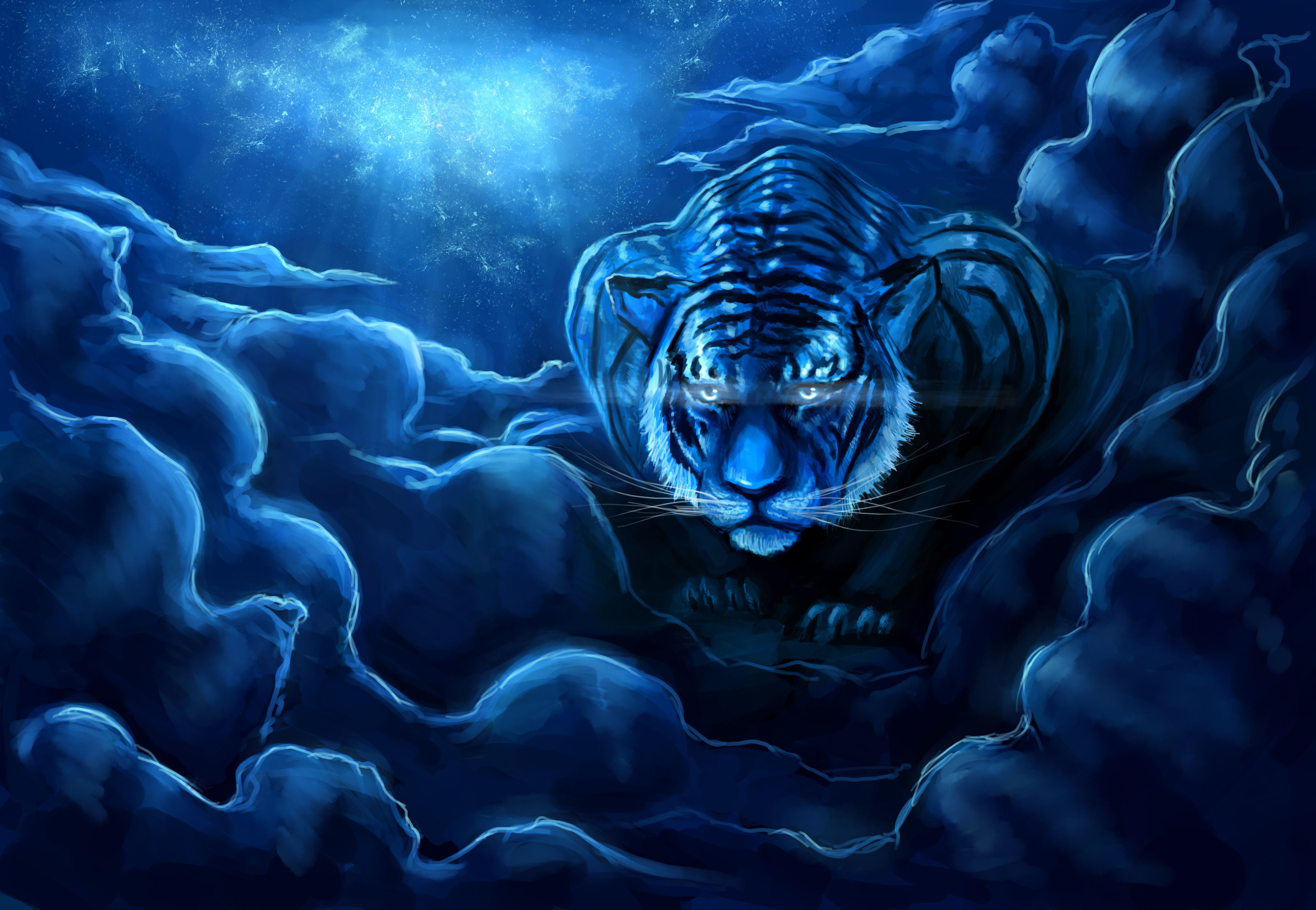 Wallpaper #jX1O8o4Bnwiau_P6sQsp53 Blue Tiger Wallpapers Wallpaper Cave