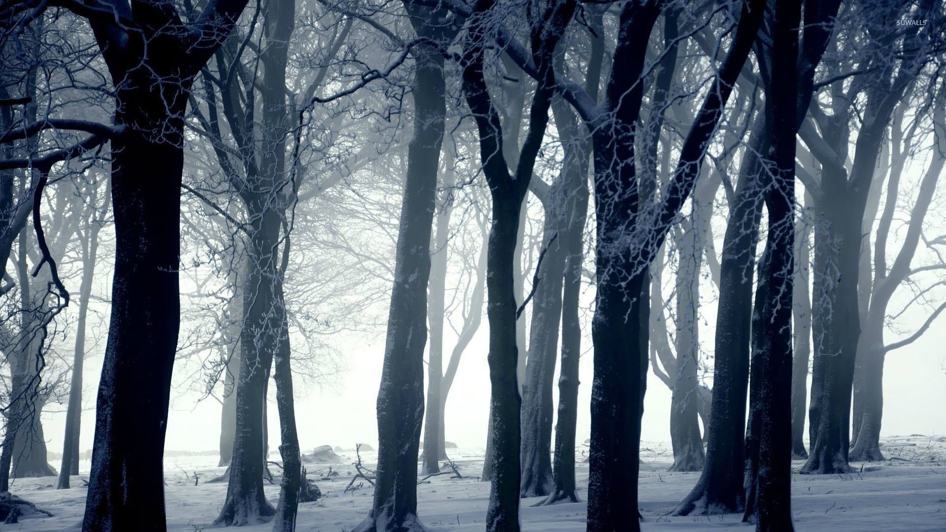 Wallpaper #KX2d9I4Bnwiau_P6pxCG38 Dark Winter Wallpapers 4K HD Dark Winter Backgrounds on Wallpaperbat