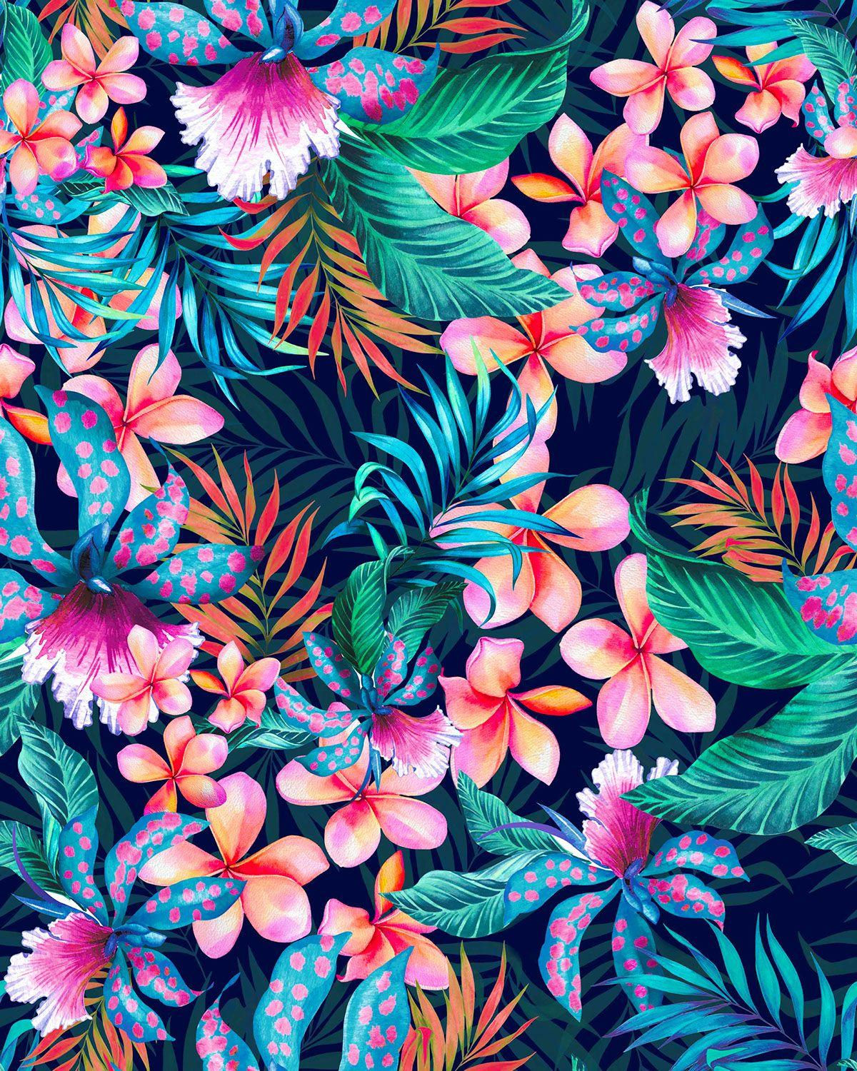 Wallpaper #0mhXIpMBSpphPi3-BjIo48 Tropical Flowers Wallpapers Wallpaper Cave