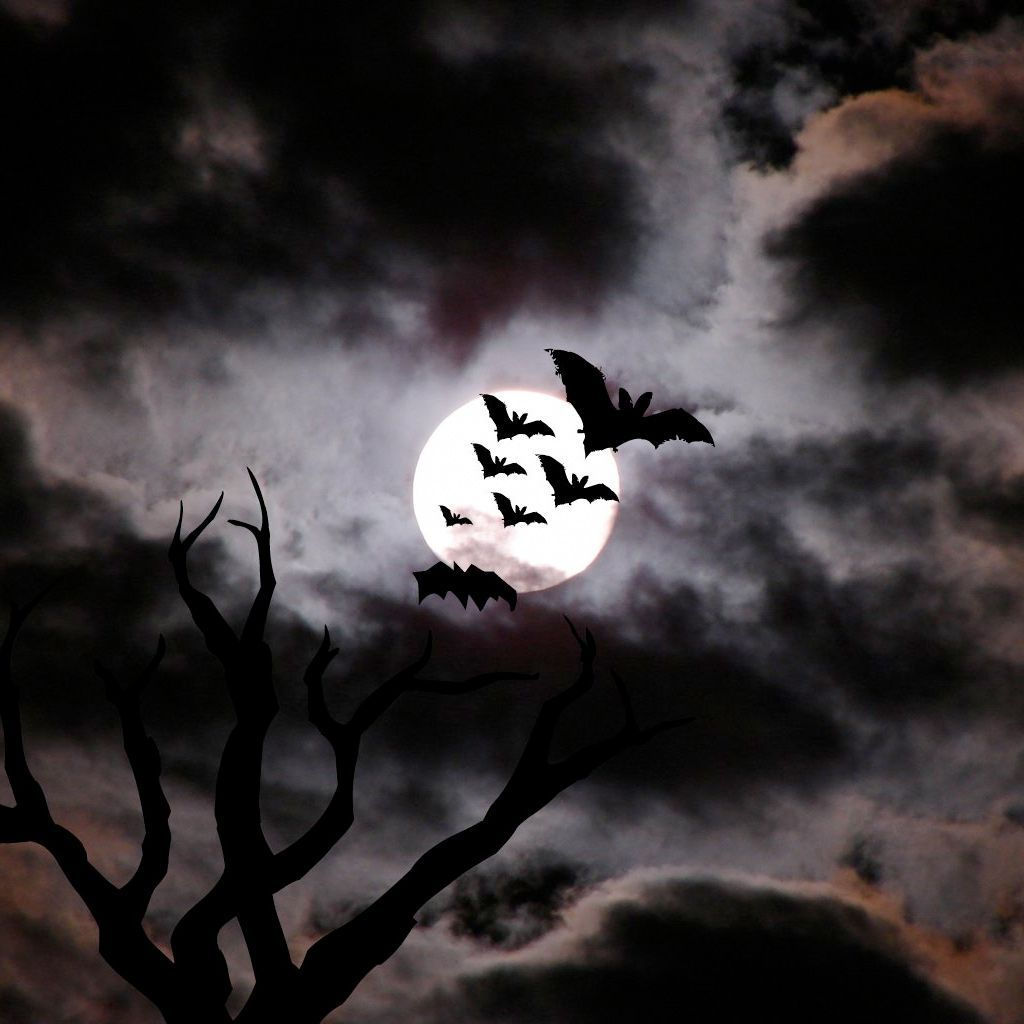 Wallpaper #80b81 Halloween Moon Bats Clipart Halloween Clipart Bats Etsy
