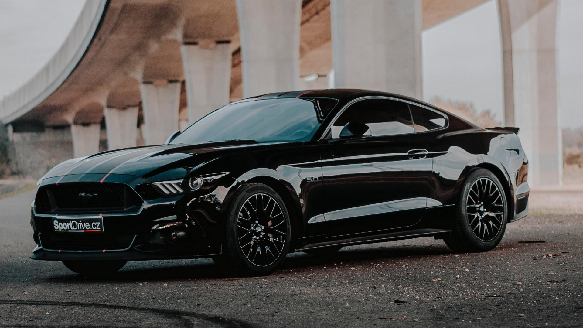 Wallpaper #tHPvhY4BFI5NbQks8R7Q8 Black Mustang Wallpapers Wallpaper Cave