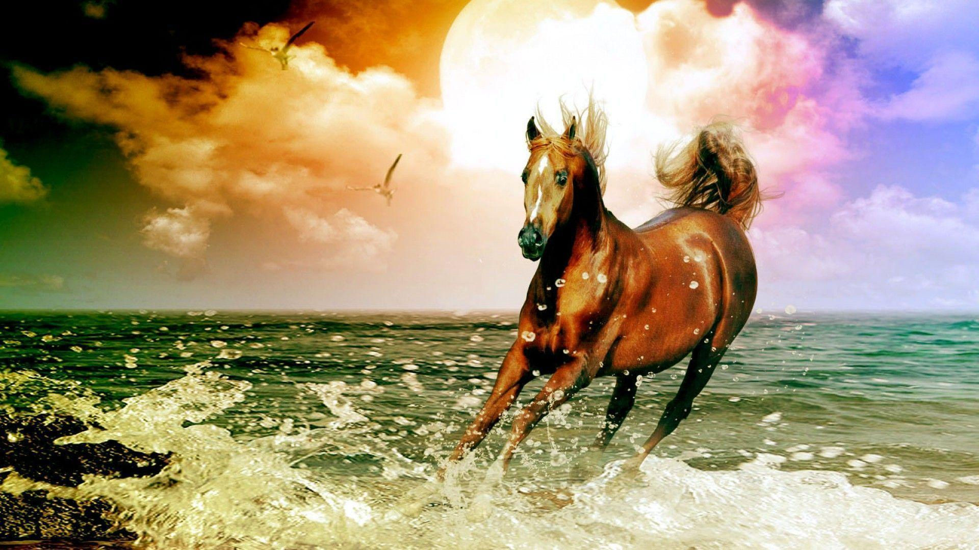 Wallpaper #Q31n8I4Bnwiau_P6UwYf54 Horse Desktop Wallpapers Wallpaper Cave