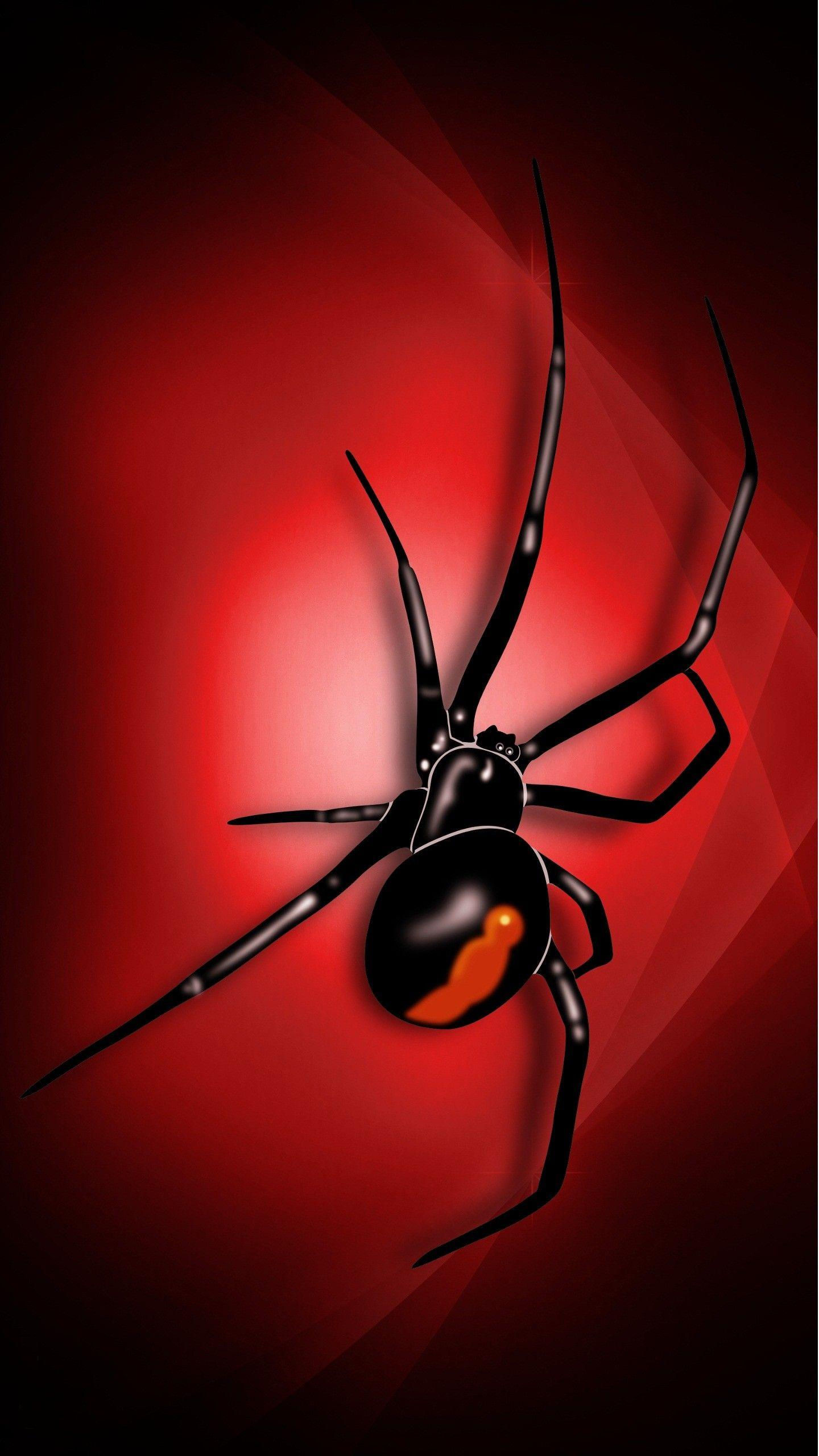 Wallpaper #bECXMZMBJhL2WPbaVMct204 Black Widow Spiders Wallpapers Wallpaper Cave