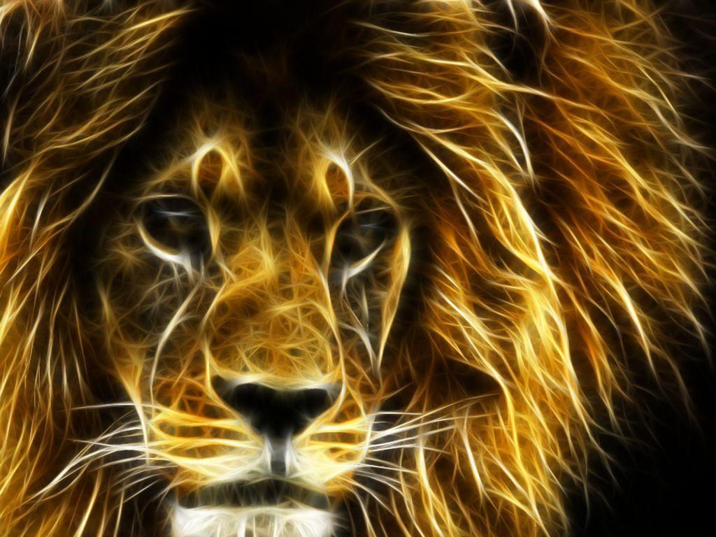 Wallpaper #kn1P8o4Bnwiau_P6DgsH18 Lion Cool Wallpapers Wallpaper Cave