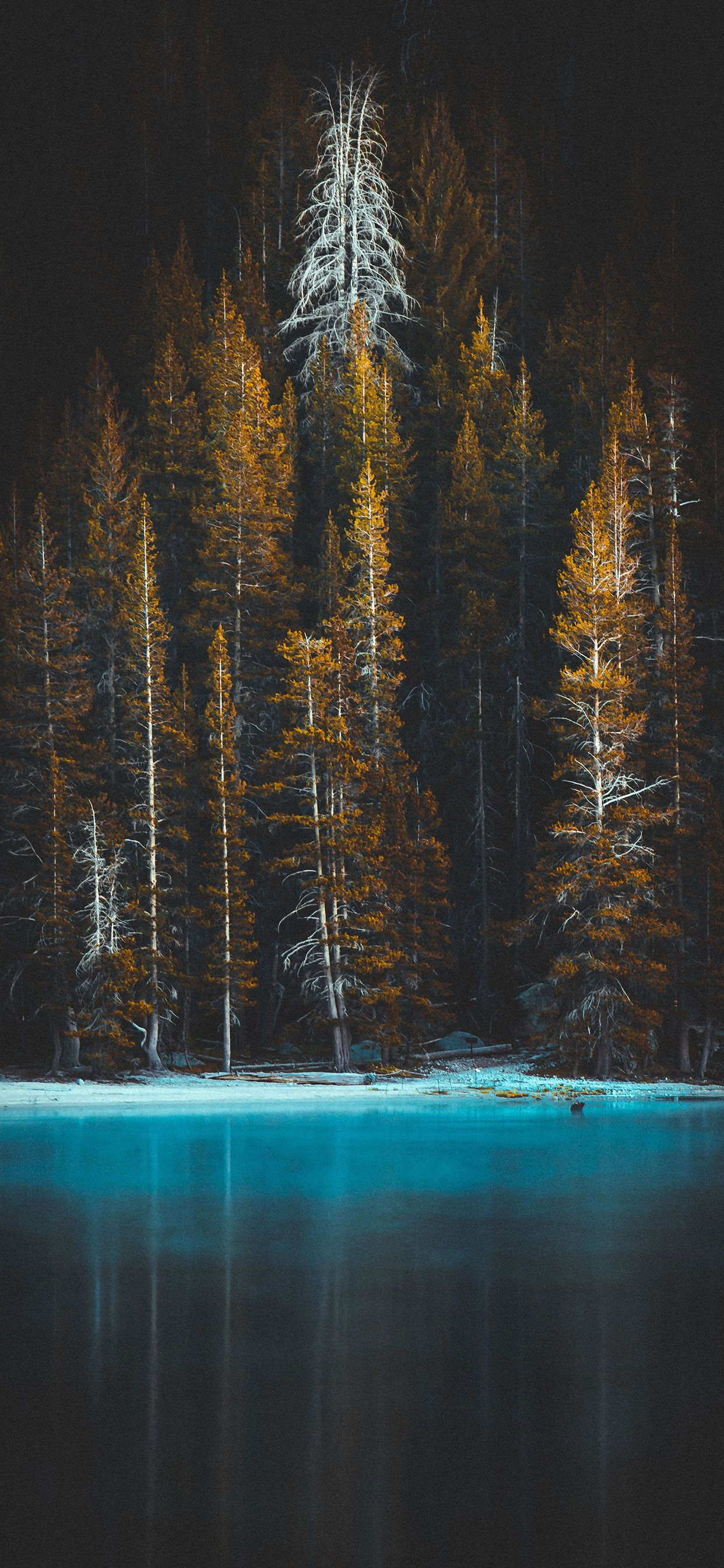 Wallpaper #LRlaOI8BtGB6xQ78LagM59 Unduh 36 Wallpaper iPhone Beautiful Images Gambar Gratis Terbaru Postsid