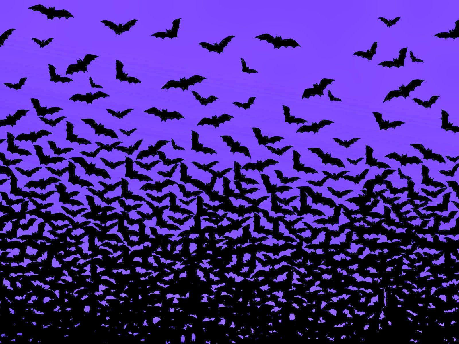 Wallpaper #80b81 Halloween Moon Bats Clipart Halloween Clipart Bats Etsy