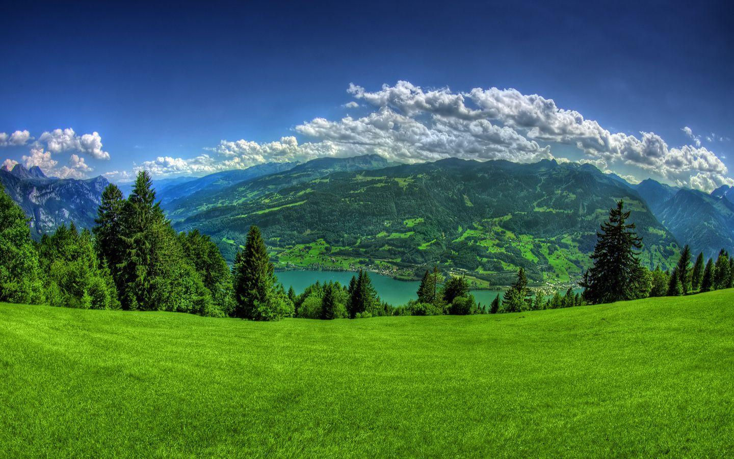 Wallpaper #4kDcLpMBJhL2WPbaNbo298 Green Pastures Wallpapers Top Free Green Pastures Backgrounds