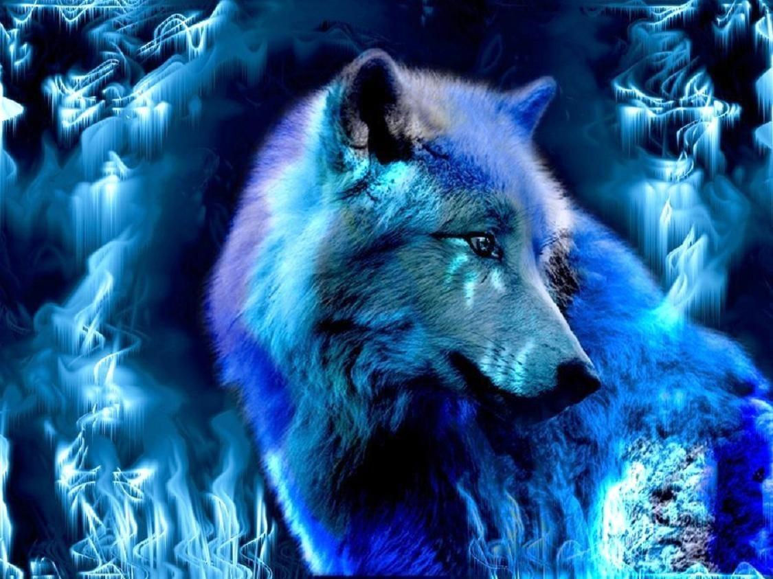 Wallpaper #4h3xLJMBlOZrFDOkhswd256 Blue Wolf Wallpapers Top Free Blue Wolf Backgrounds Wallpaperaccess