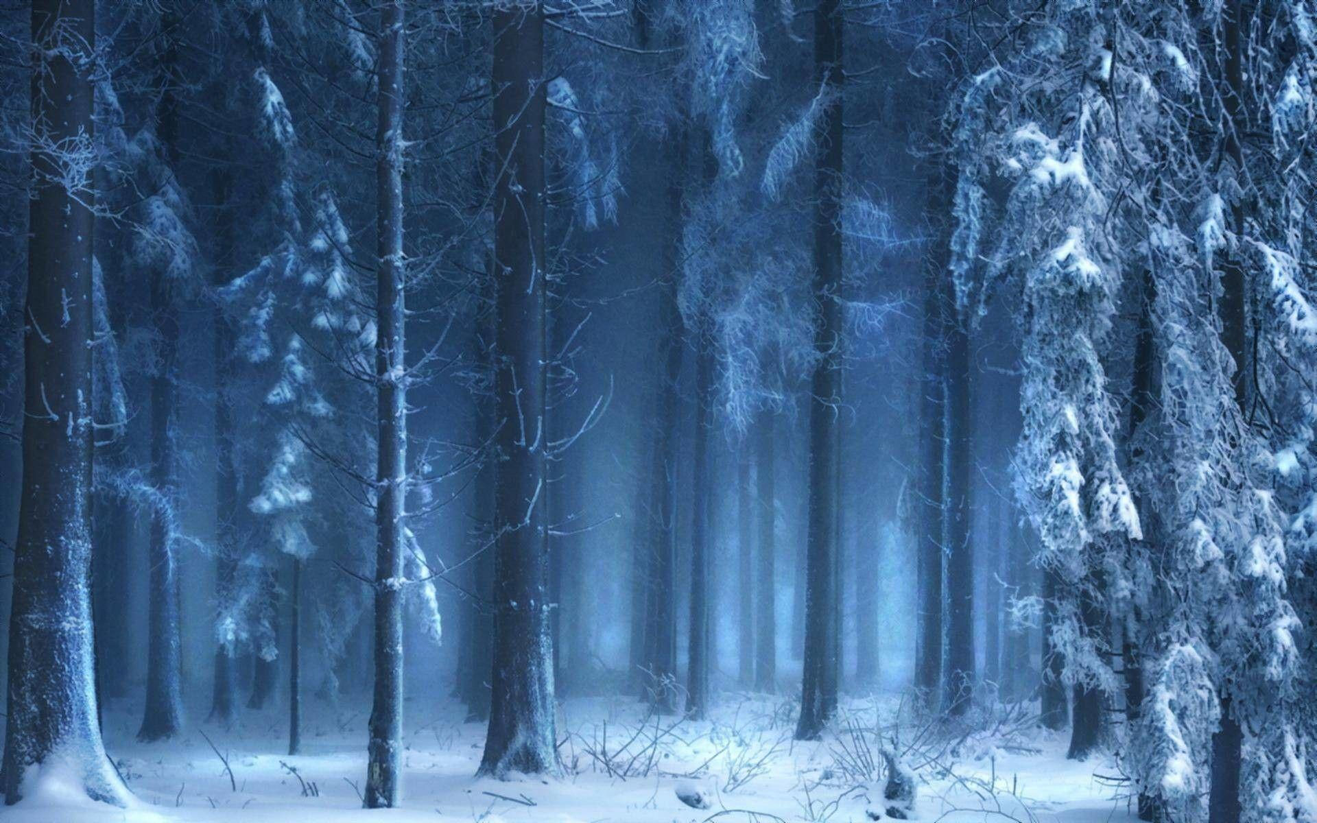 Wallpaper #KX2d9I4Bnwiau_P6pxCG36 Dark Winter Forest Wallpapers Top Free Dark Winter Forest Backgrounds