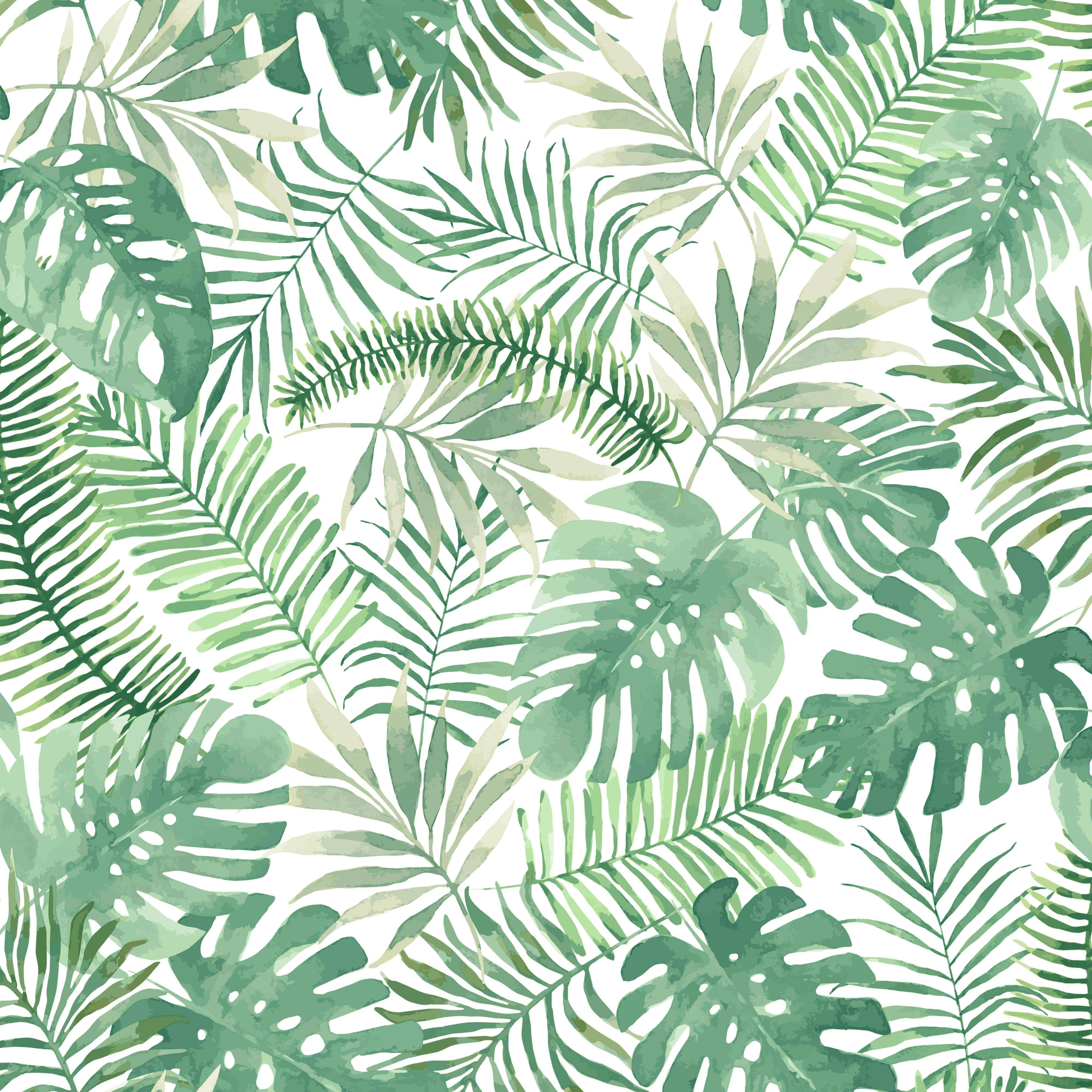 Wallpaper #am19apcBycdYOYFTxHE6125 4000x4000 Wallpapers Top Free 4000x4000 Backgrounds Wallpaperaccess