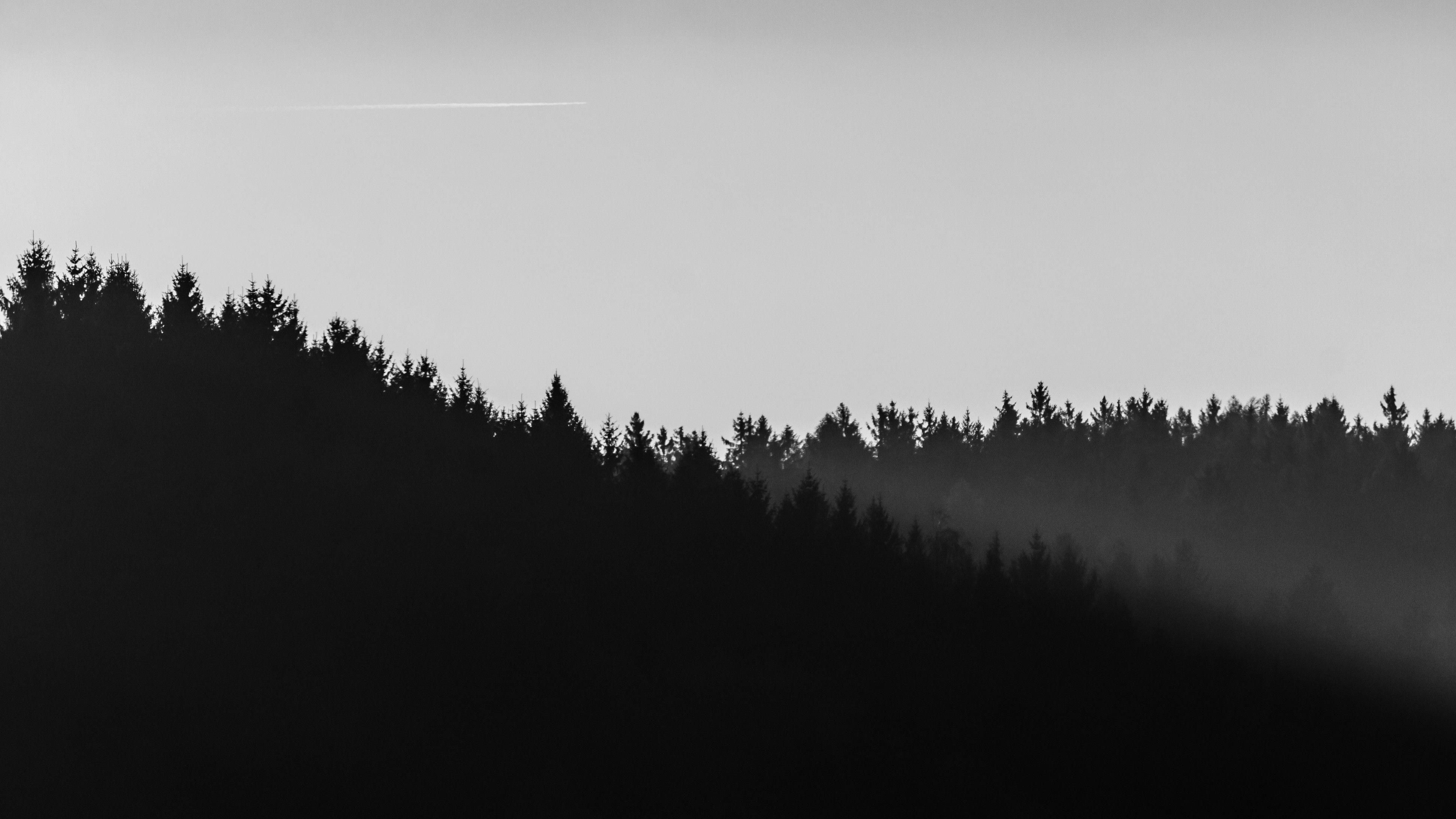 Wallpaper #5rgu2JIBJvJKYCmEzuas175 Forest Minimal Dark Wallpapers Top Free Forest Minimal Dark