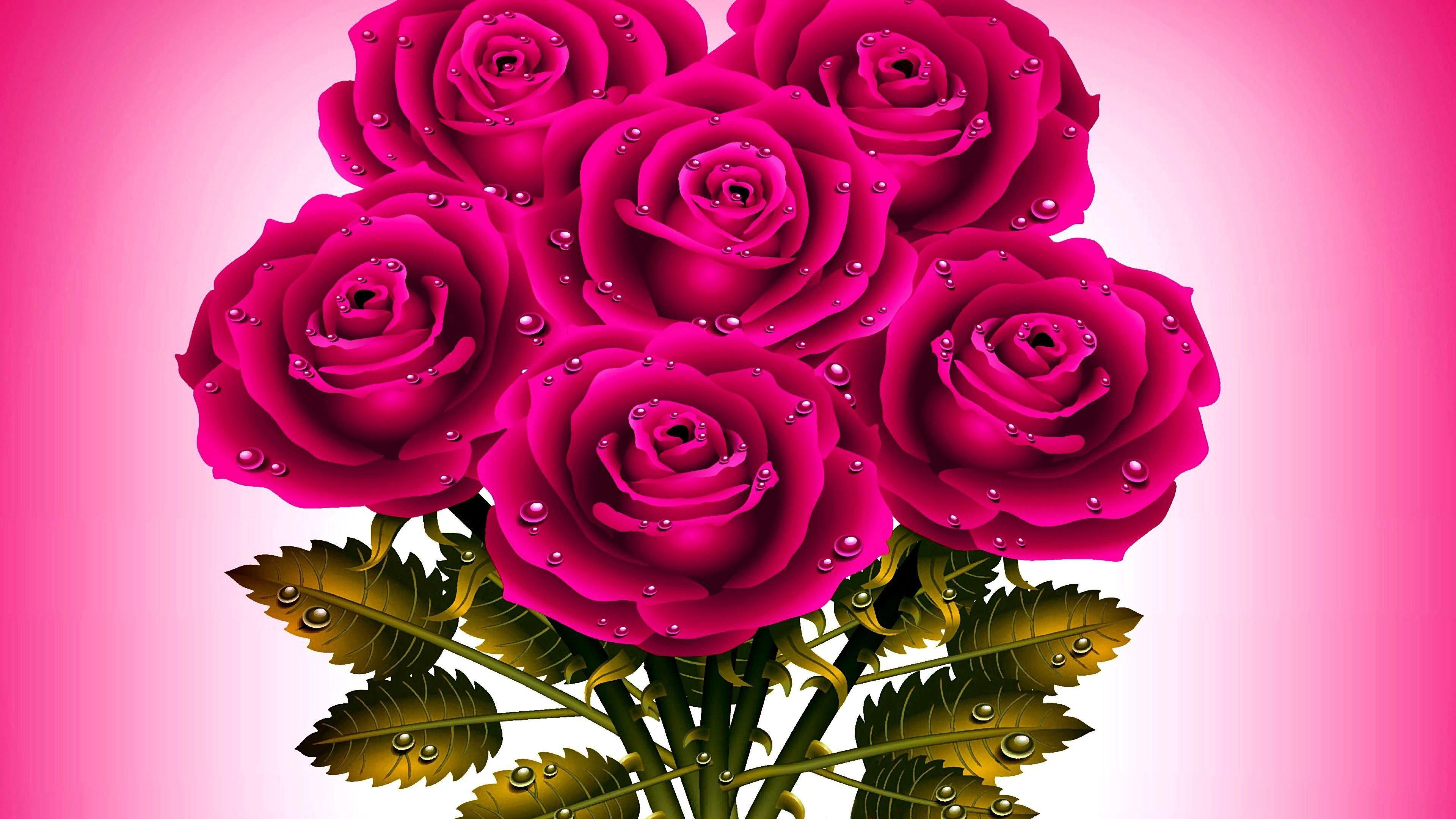 Wallpaper #Vx1aLpMBlOZrFDOkDdNd80 Pink Roses HD Wallpapers Top Free Pink Roses HD Backgrounds