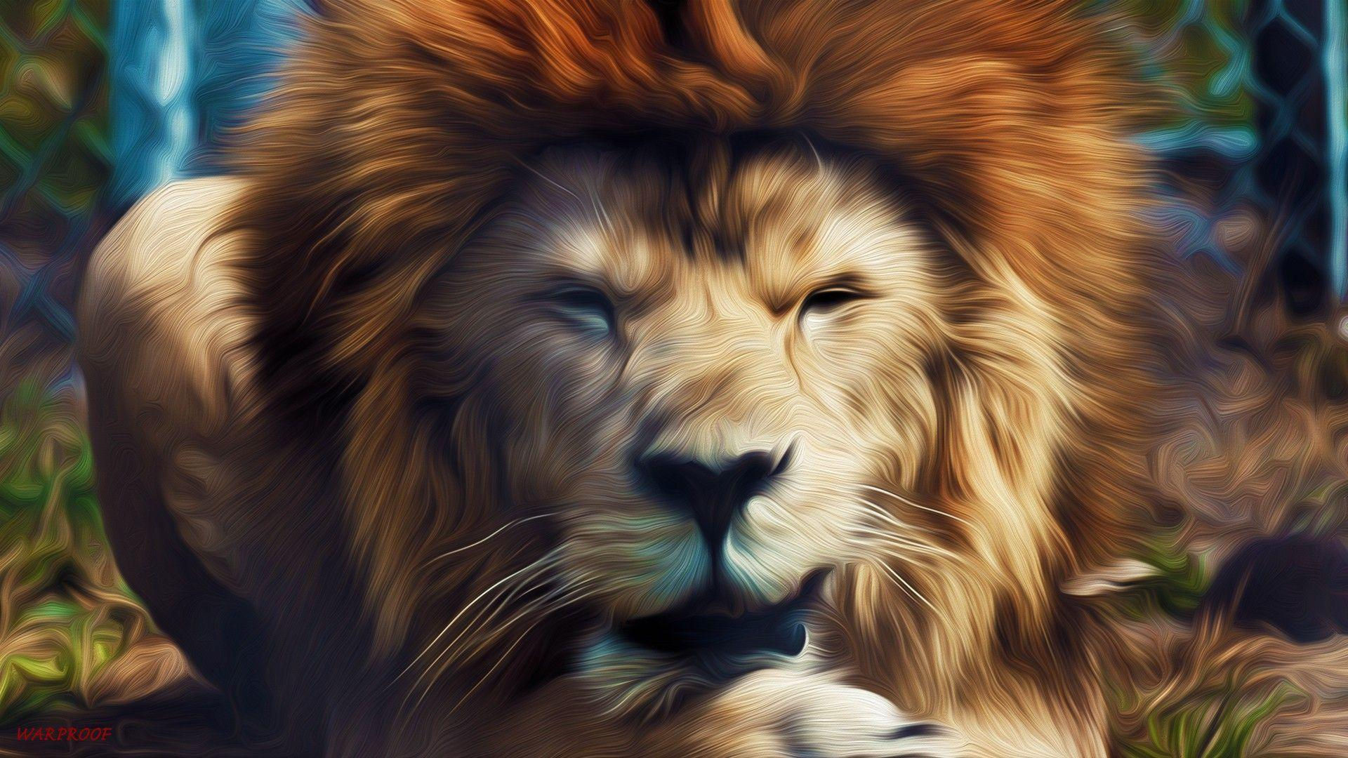 Wallpaper #kn1P8o4Bnwiau_P6DgsH6 Cool Lion Wallpapers Top Free Cool Lion Backgrounds Wallpaperaccess