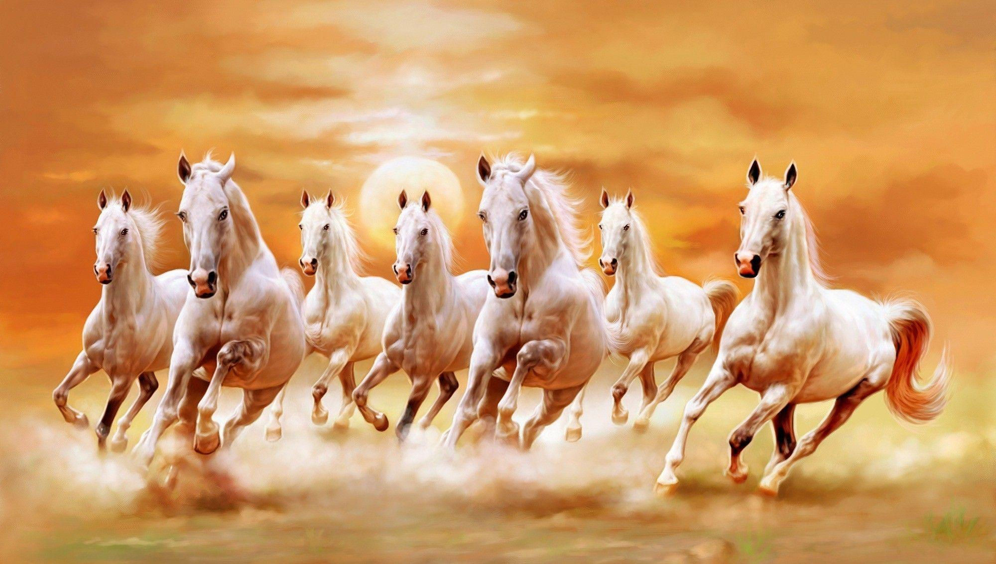 Wallpaper #PH1l8I4Bnwiau_P6rAb936 Horses Wallpapers Top Free Horses Backgrounds Wallpaperaccess