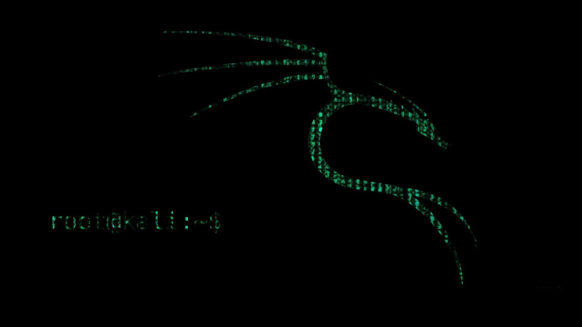 Wallpaper #c37cf Kali Linux 20241 Released with 4 New Tools Ui Refresh