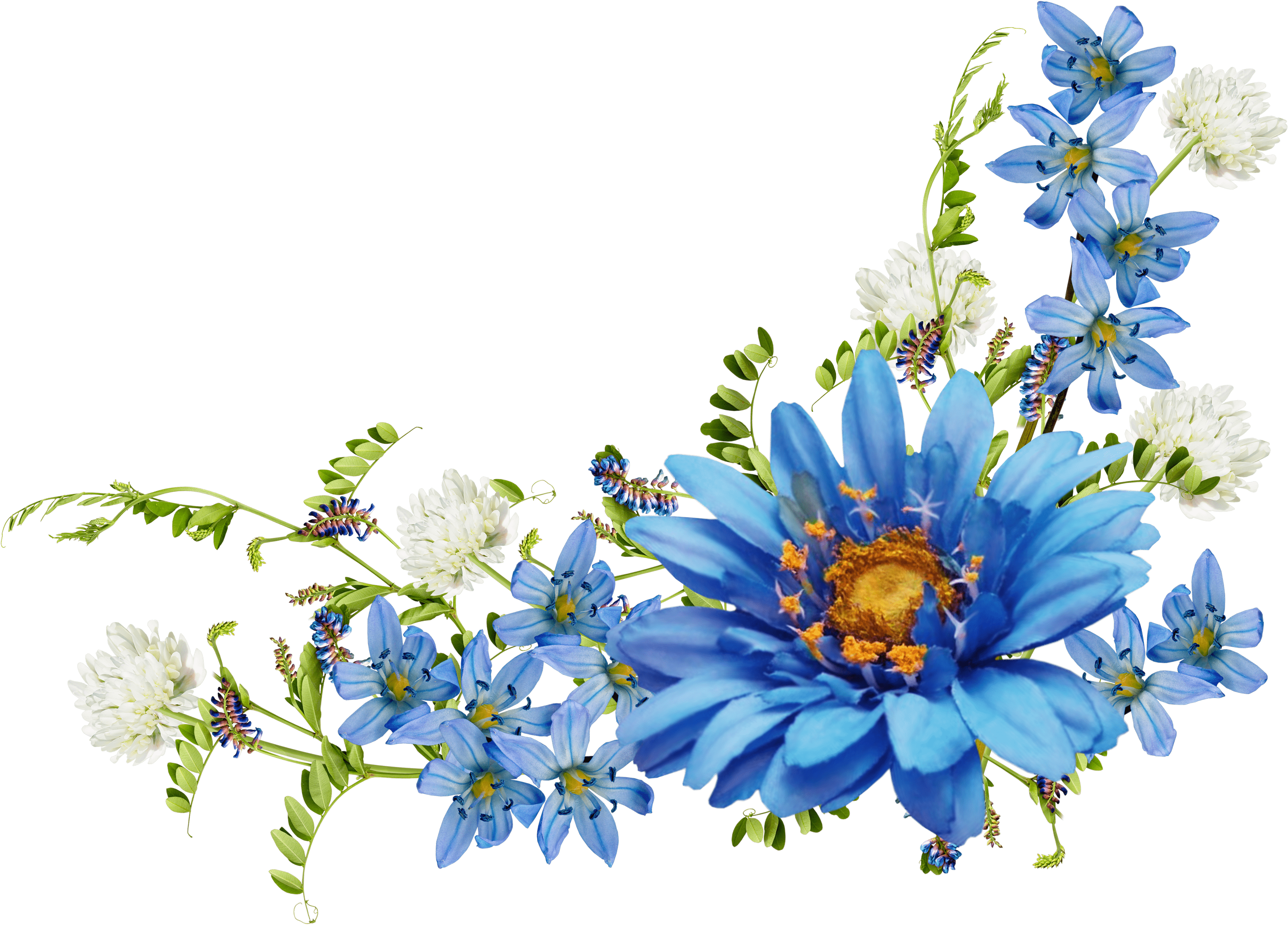 Wallpaper #ymhVIpMBSpphPi3-7TIp113 Blue Flower Border Wallpapers Top Free Blue Flower Border Backgrounds