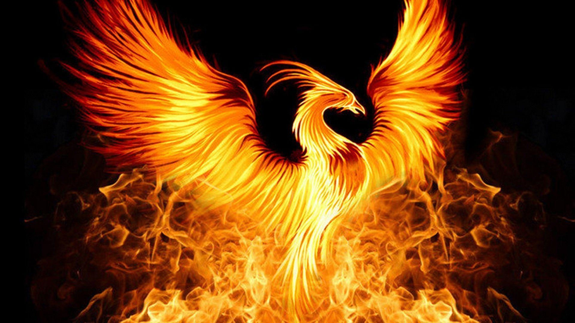 Wallpaper #2bc96 Image of a Majestic White Fire Phoenix on Craiyon