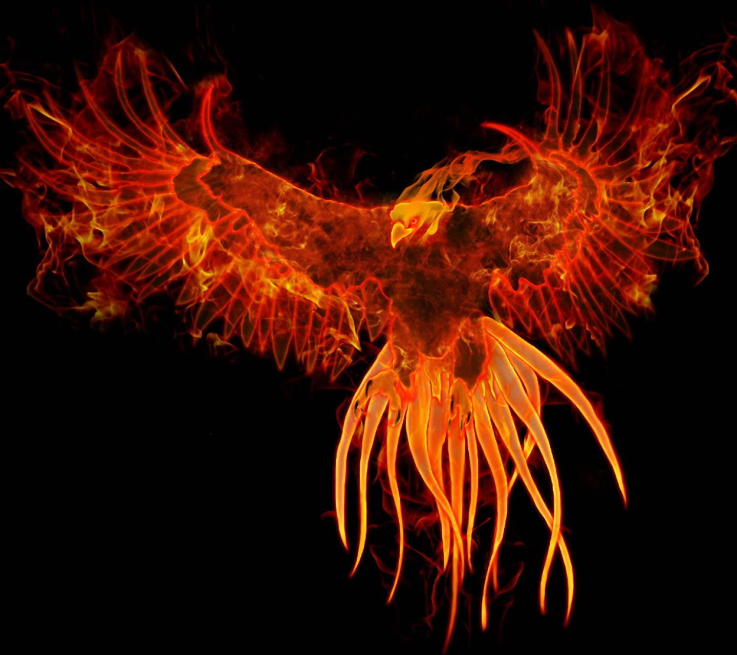 Wallpaper #2bc96 Image of a Majestic White Fire Phoenix on Craiyon