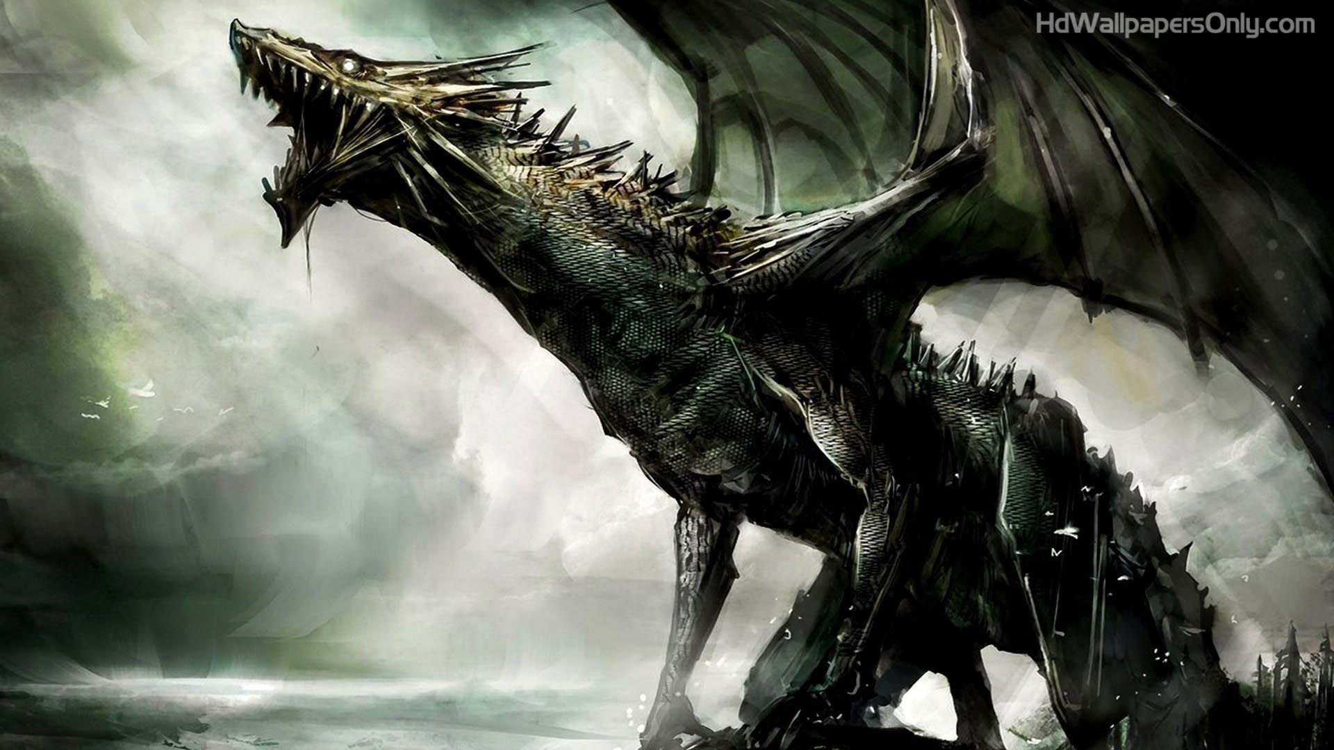 Wallpaper #63d65 Dragon HD Wallpapers 77 Images