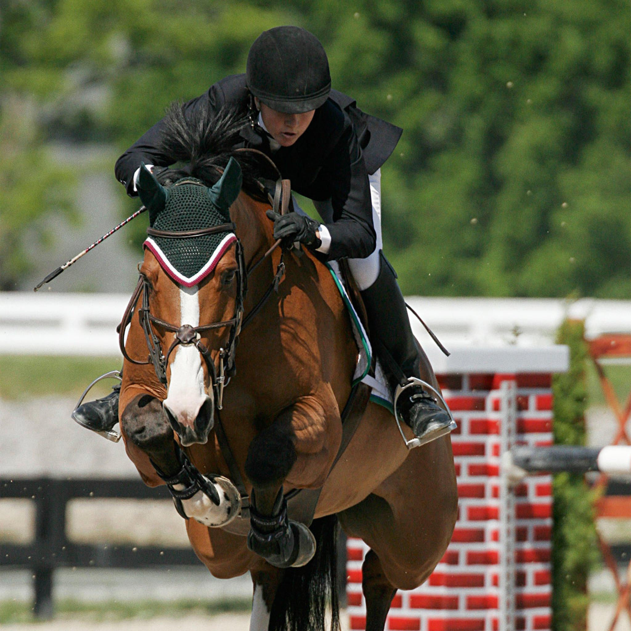 Wallpaper #Gx2aLJMBlOZrFDOk68sw9 Horse Jumping Wallpapers Top Free Horse Jumping Backgrounds