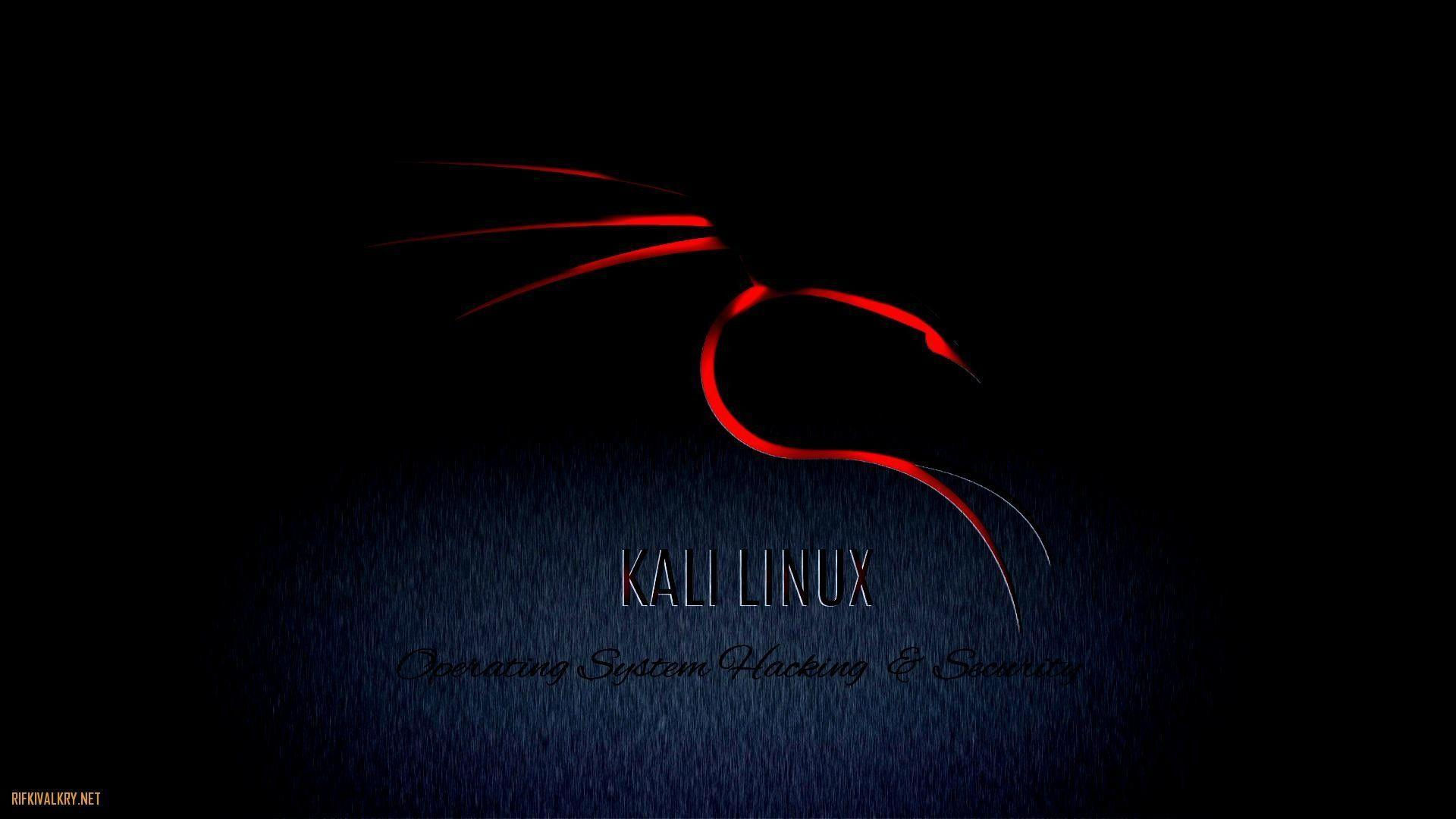 Wallpaper #c37cf Kali Linux 20241 Released with 4 New Tools Ui Refresh