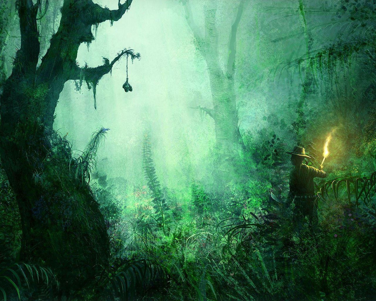 Wallpaper #r2fTEJMBSpphPi3-HPTq167 Amazon Jungle Wallpapers Top Free Amazon Jungle Backgrounds