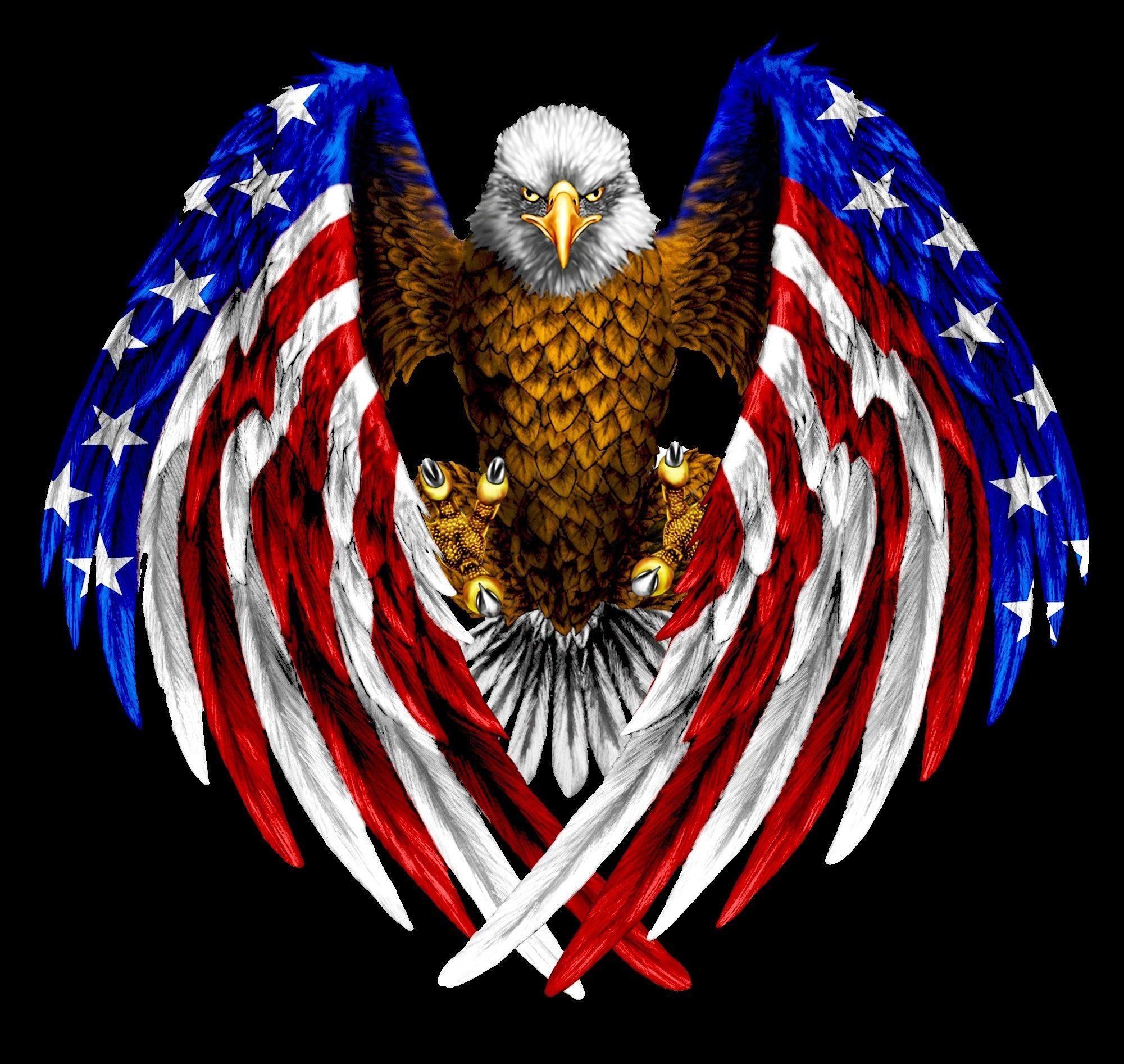 Wallpaper #6ef95 11209 Gier Eagle Images Stock Photos Vectors Shutterstock