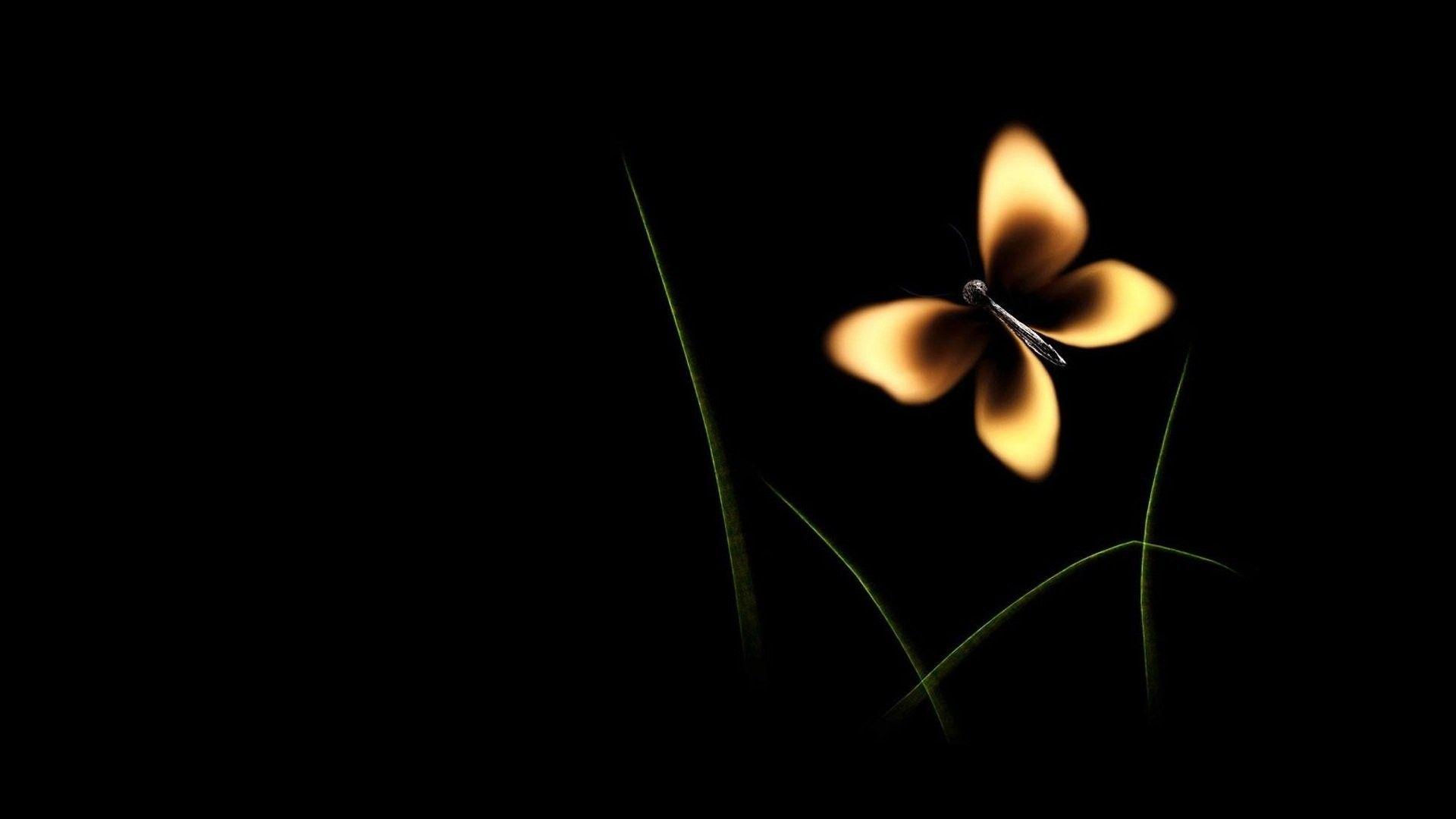 Wallpaper #80c83 Sunday Service Copyright License 474927 Rehearsal License Crl108190