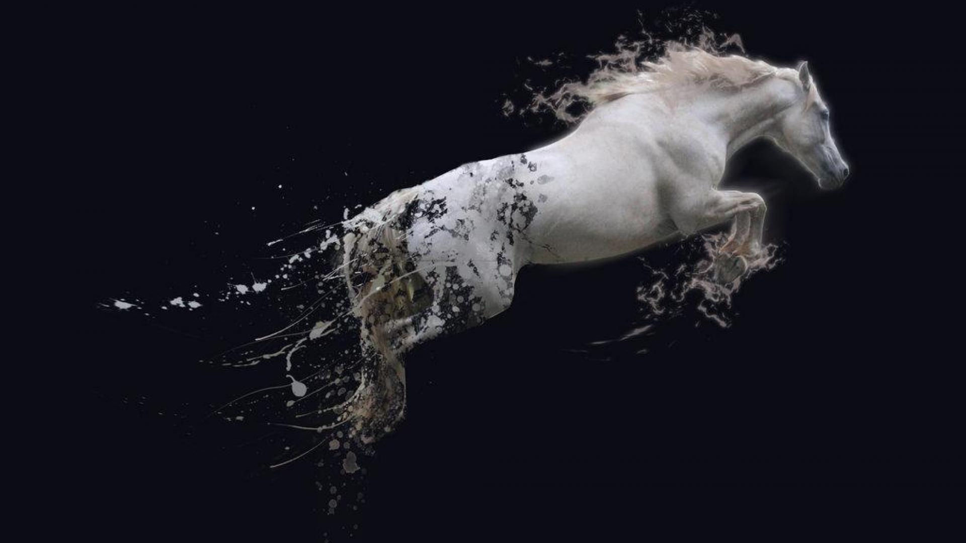 Wallpaper #Q31n8I4Bnwiau_P6UwYf57 Cool Horses Wallpapers Top Free Cool Horses Backgrounds Wallpaperaccess