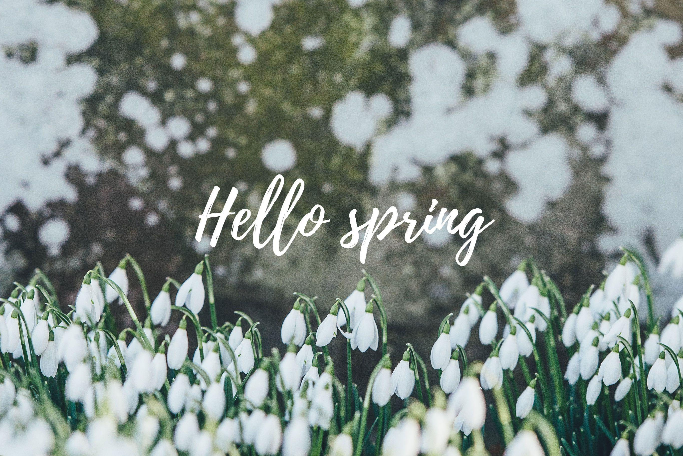 Wallpaper #xWec6JIBSpphPi3-3T2573 Hello Spring Computer Wallpapers Top Free Hello Spring Computer