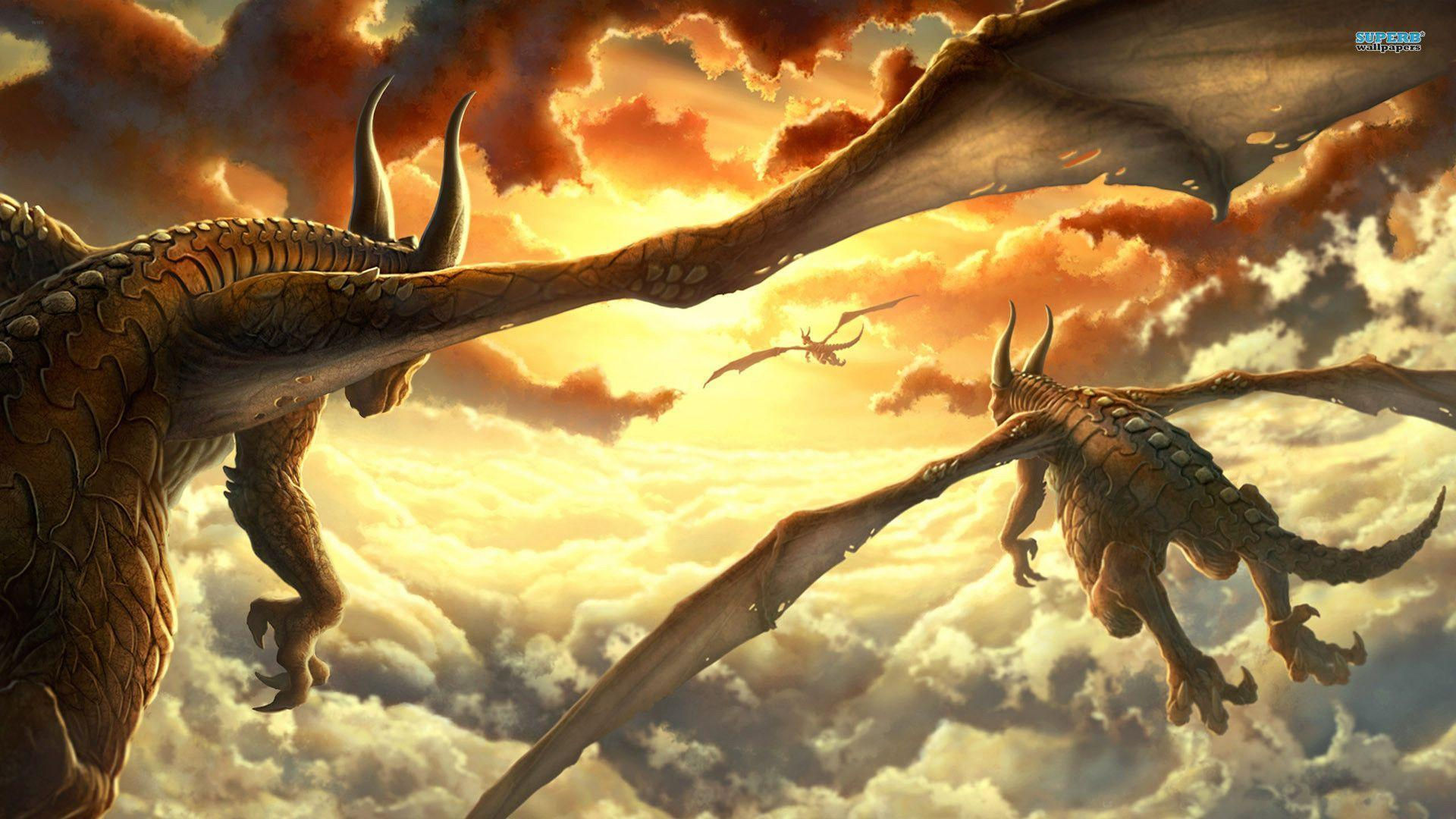 Wallpaper #63d65 Dragon HD Wallpapers 77 Images