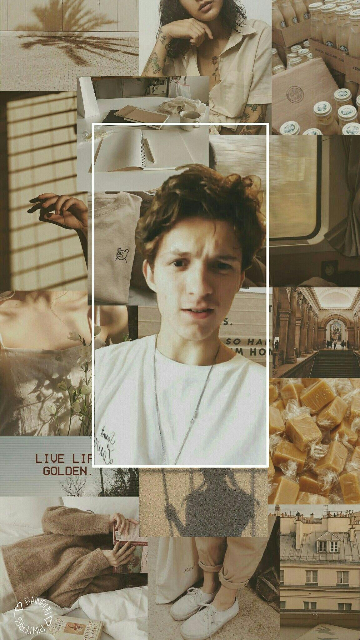 Wallpaper #3A2F5 Tom Holland Aesthetic Pfp Its Where Your Interests Connect You with