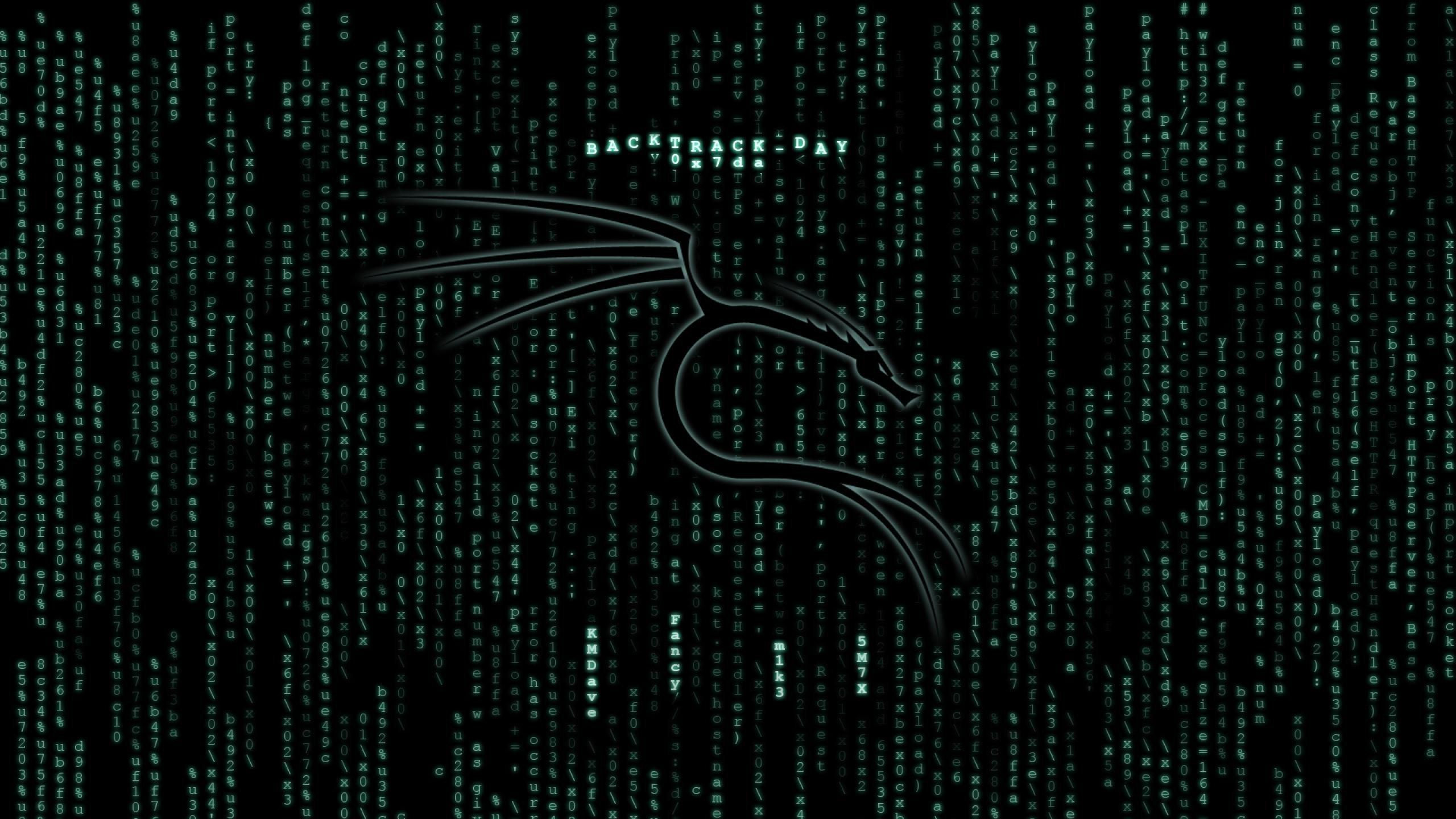 Wallpaper #c37cf Kali Linux 20241 Released with 4 New Tools Ui Refresh