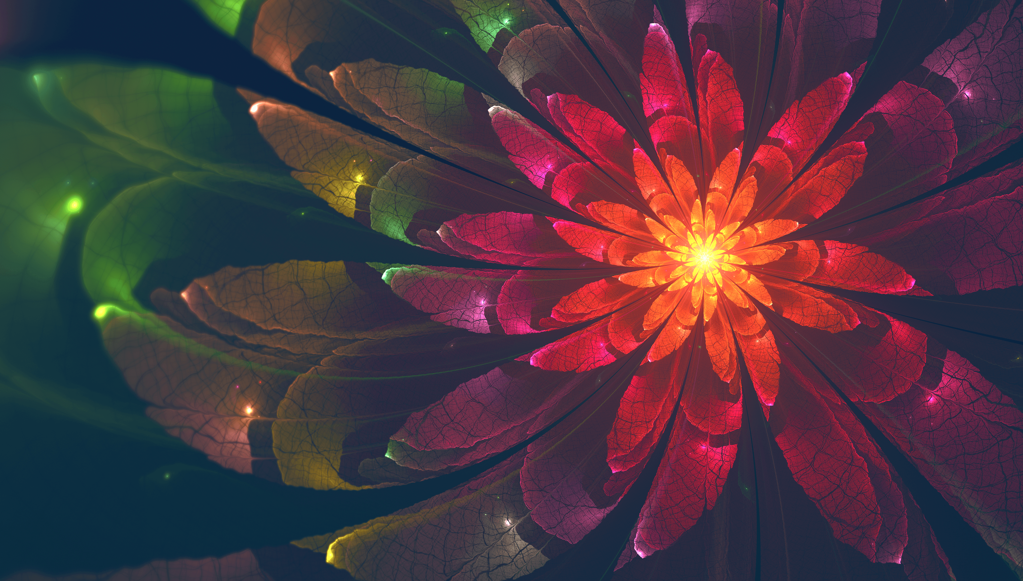 Wallpaper #bH349I4Bnwiau_P6nRGD20 Colorful Abstract Flower Wallpapers Wallpaper Cave