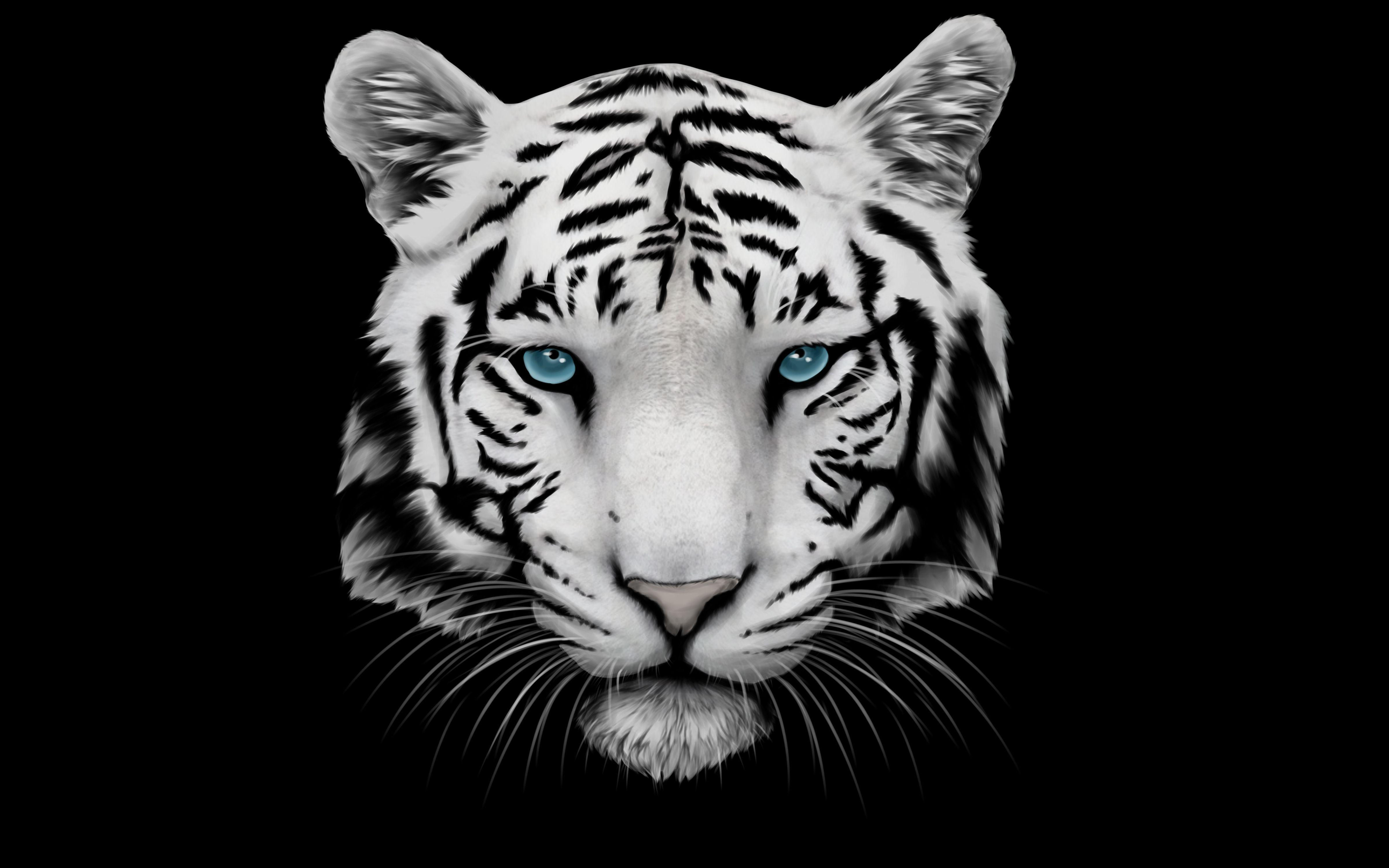 Wallpaper #0b9d5 Anime Tiger Wallpapers Top Free Anime Tiger Backgrounds Wallpaperaccess