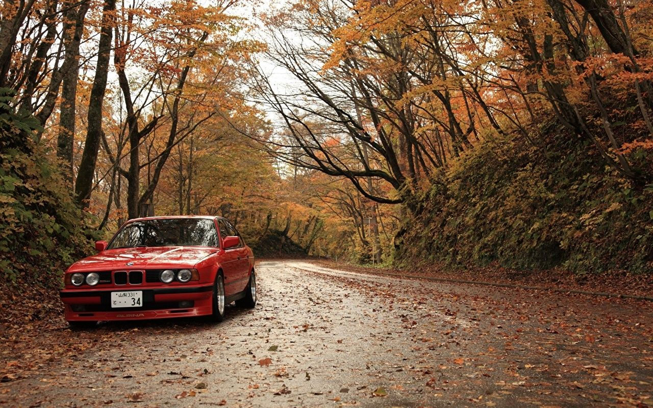 Wallpaper #1hmBB48BtGB6xQ78rla58 Autumn BMW Wallpapers Wallpaper Cave