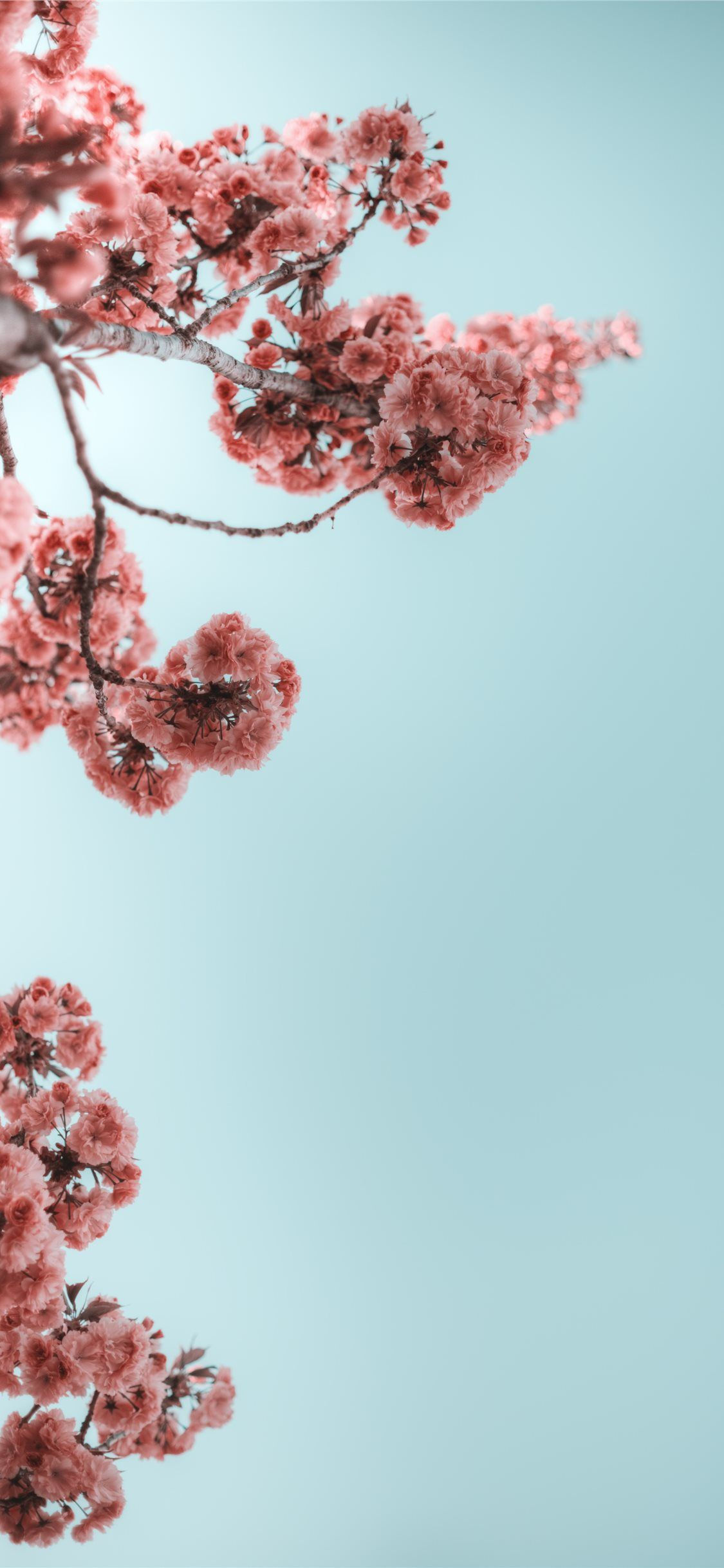 Wallpaper #hAB07I4BSdW8dNou9RTT10 The Best 30 Spring Screensavers iPhone